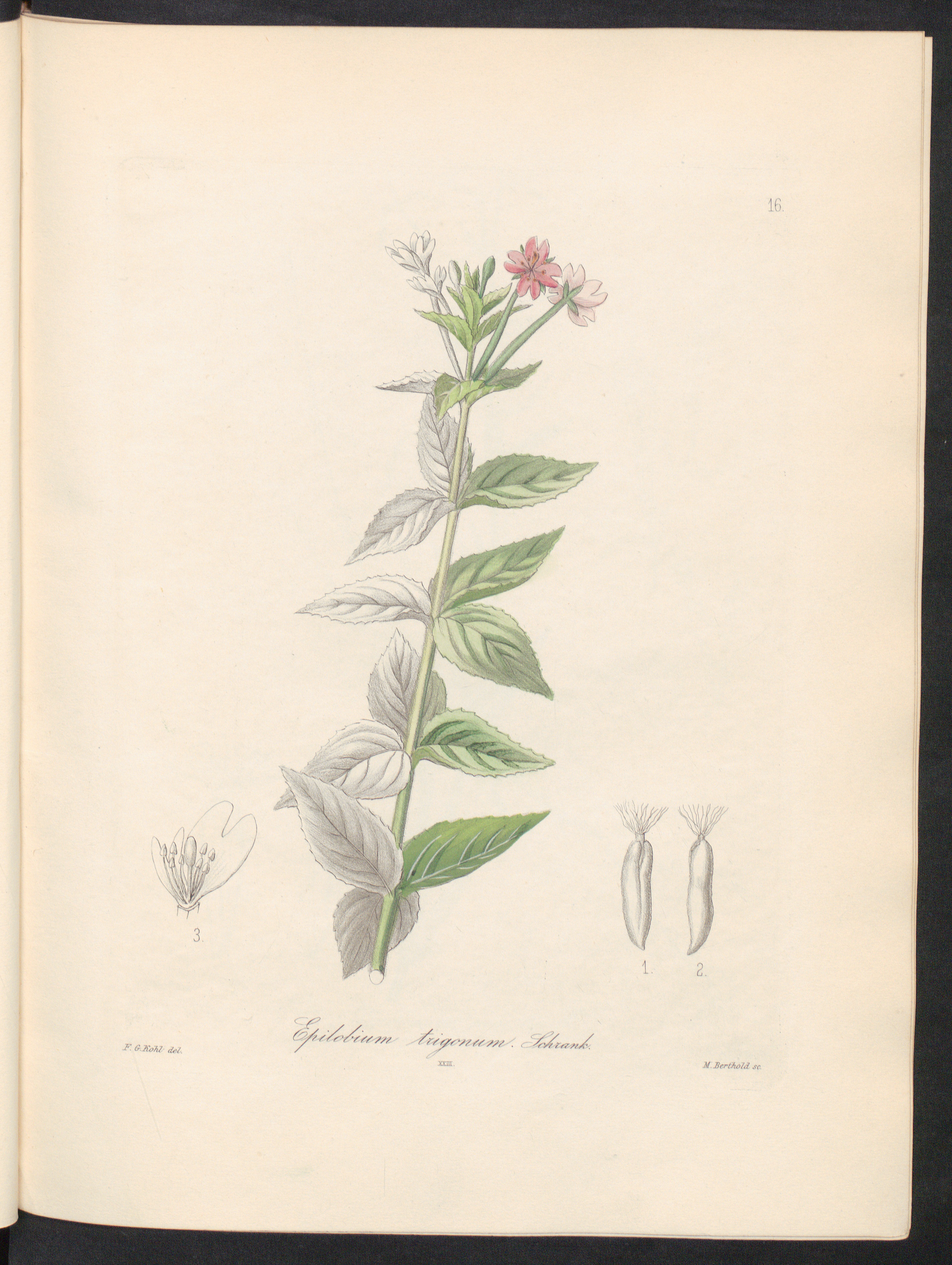 no full size  illustration available (3a)