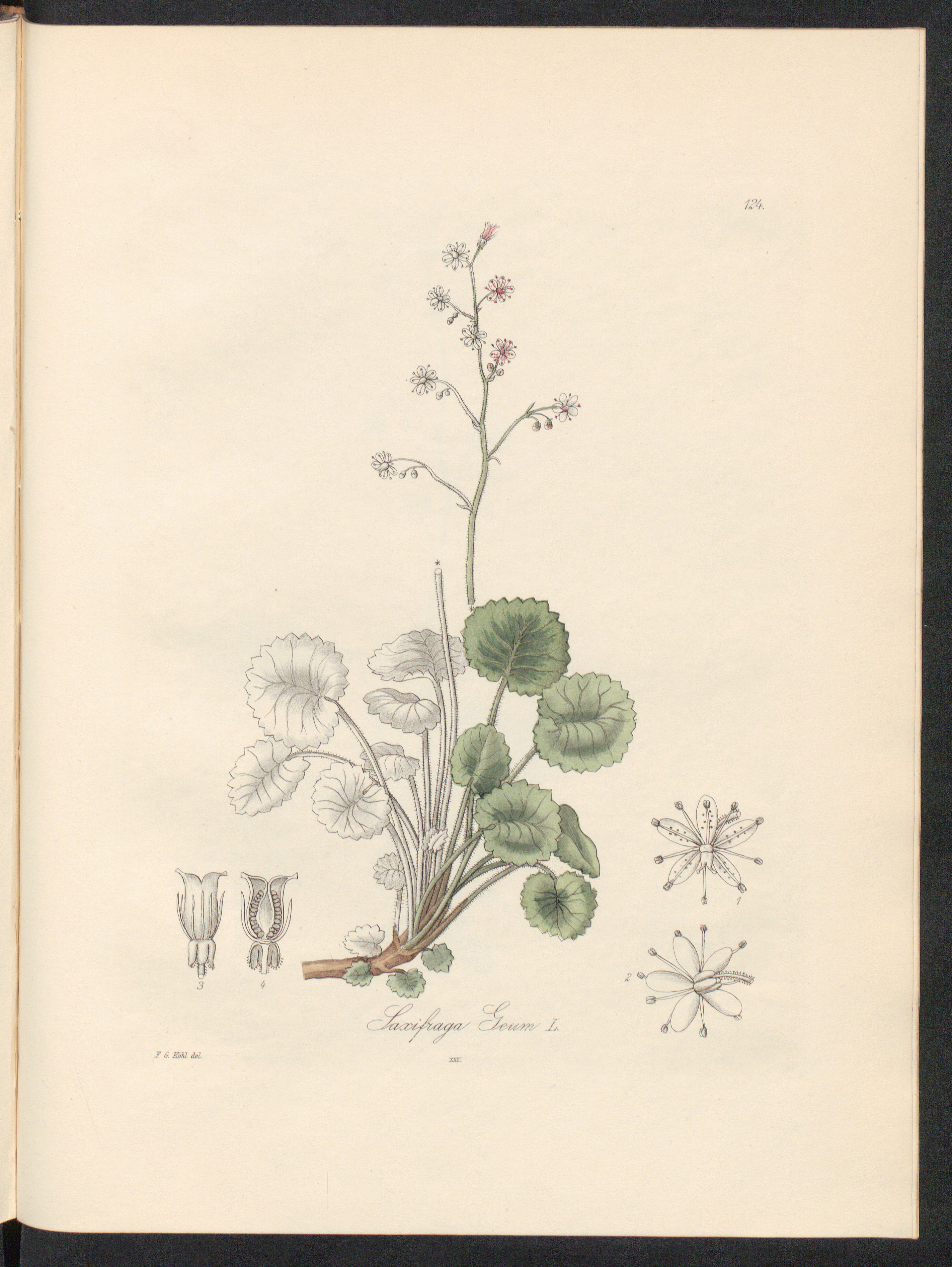 no full size  illustration available (3a)