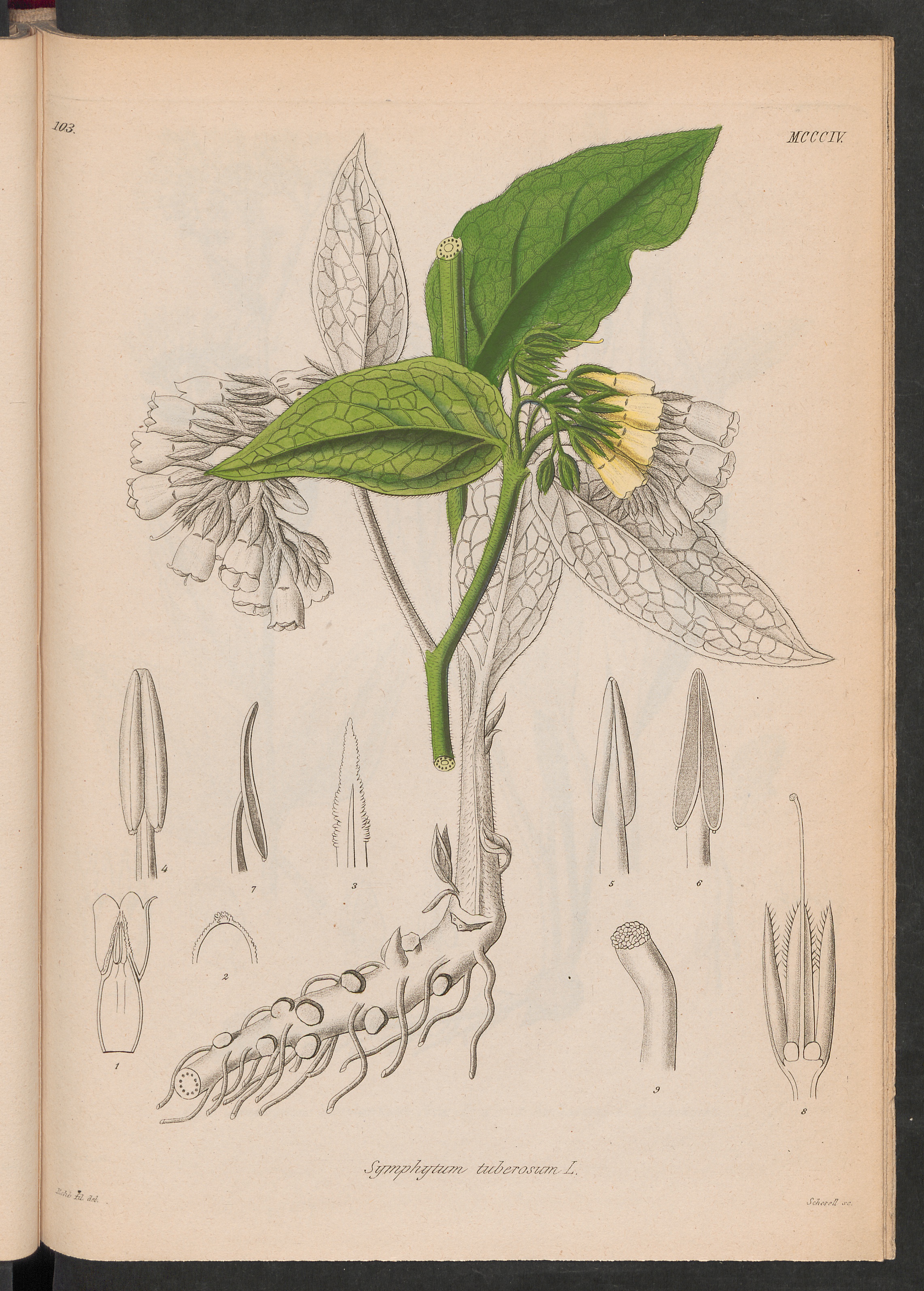 no full size  illustration available (3a)