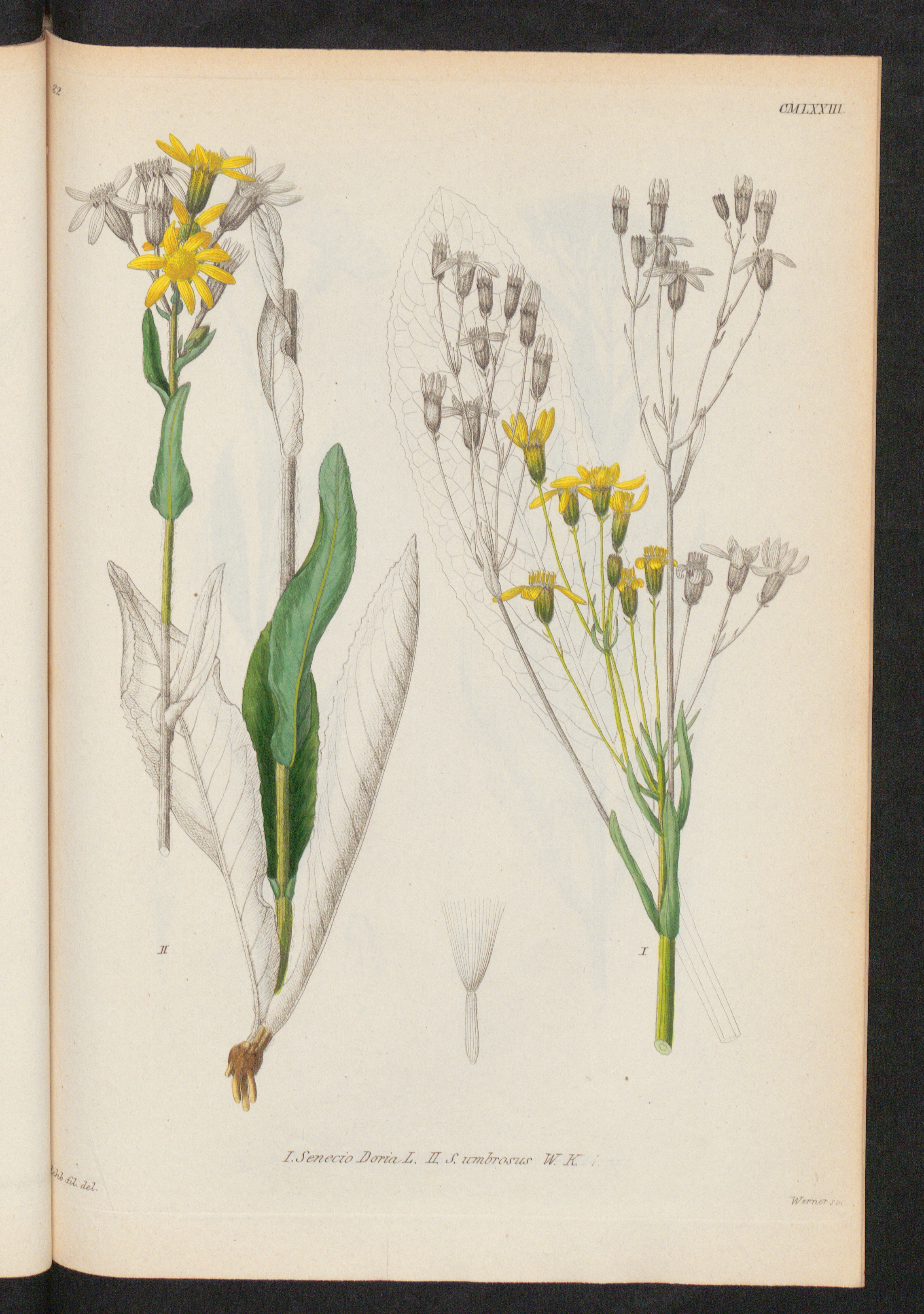 no full size  illustration available (3a)