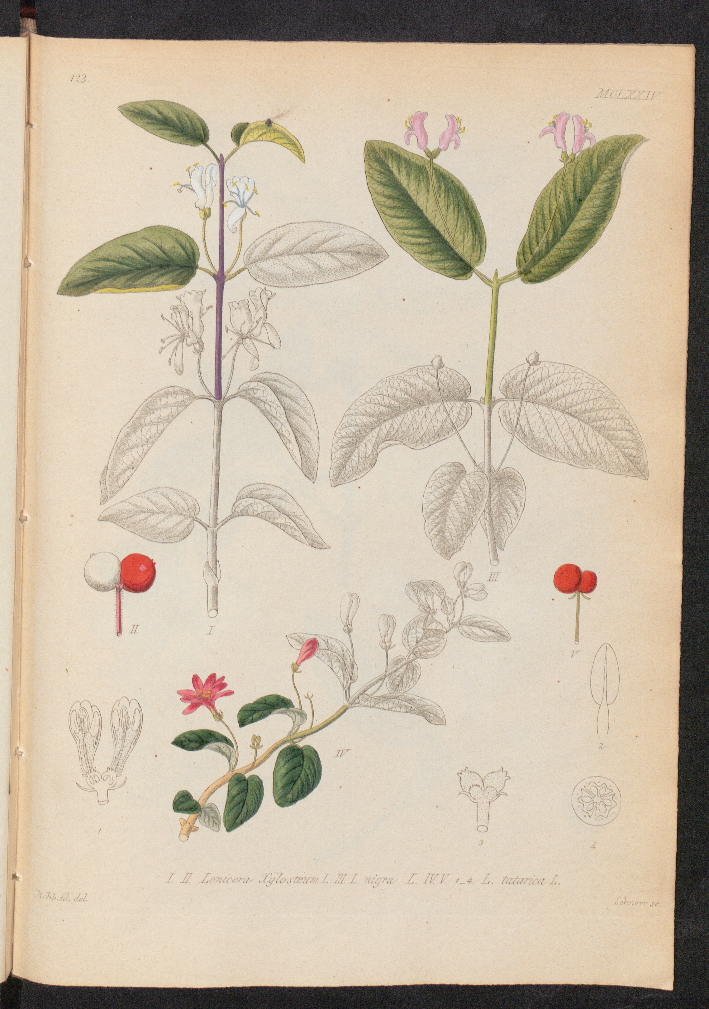 no full size  illustration available (3a)