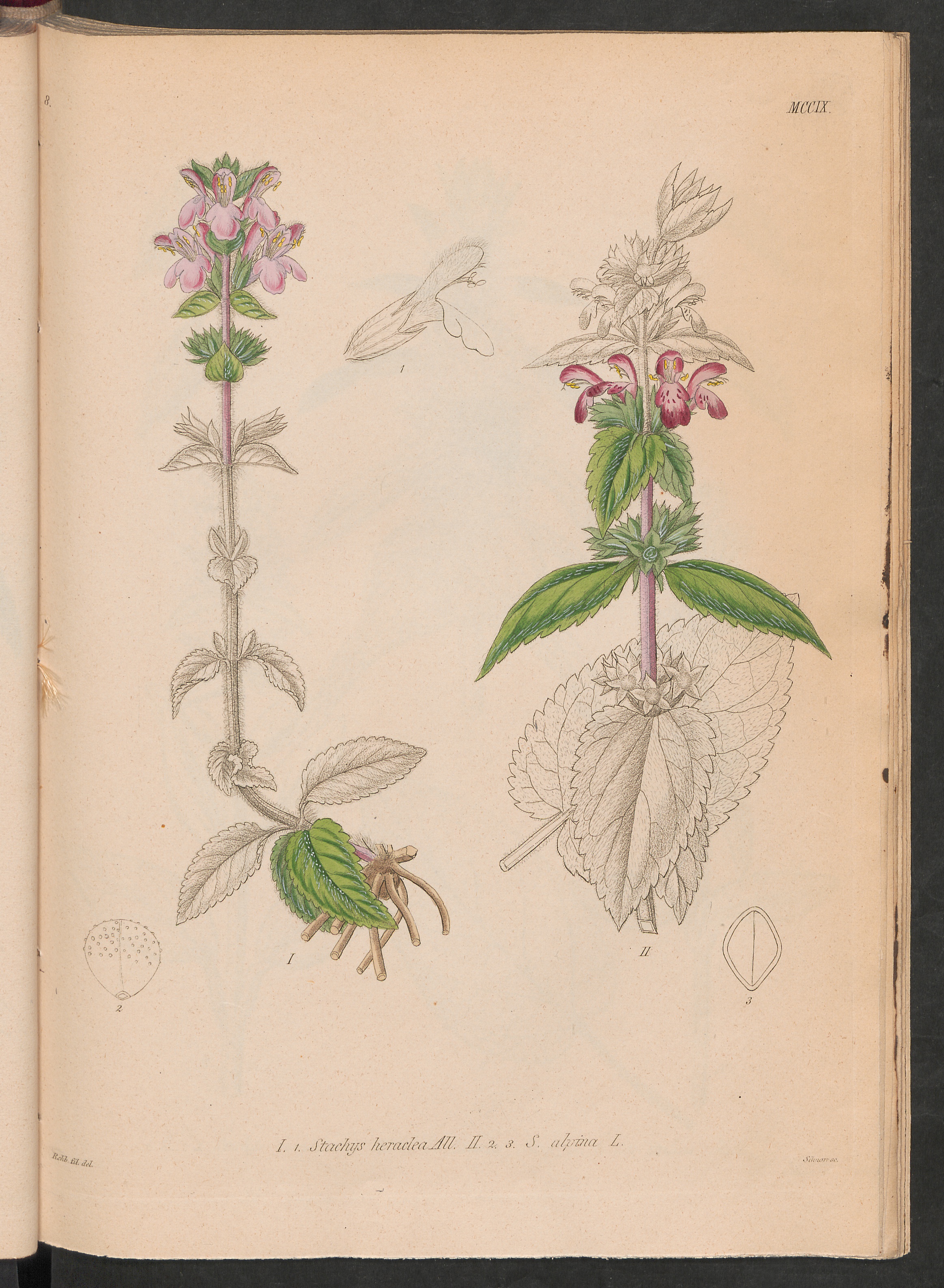 no full size  illustration available (3a)