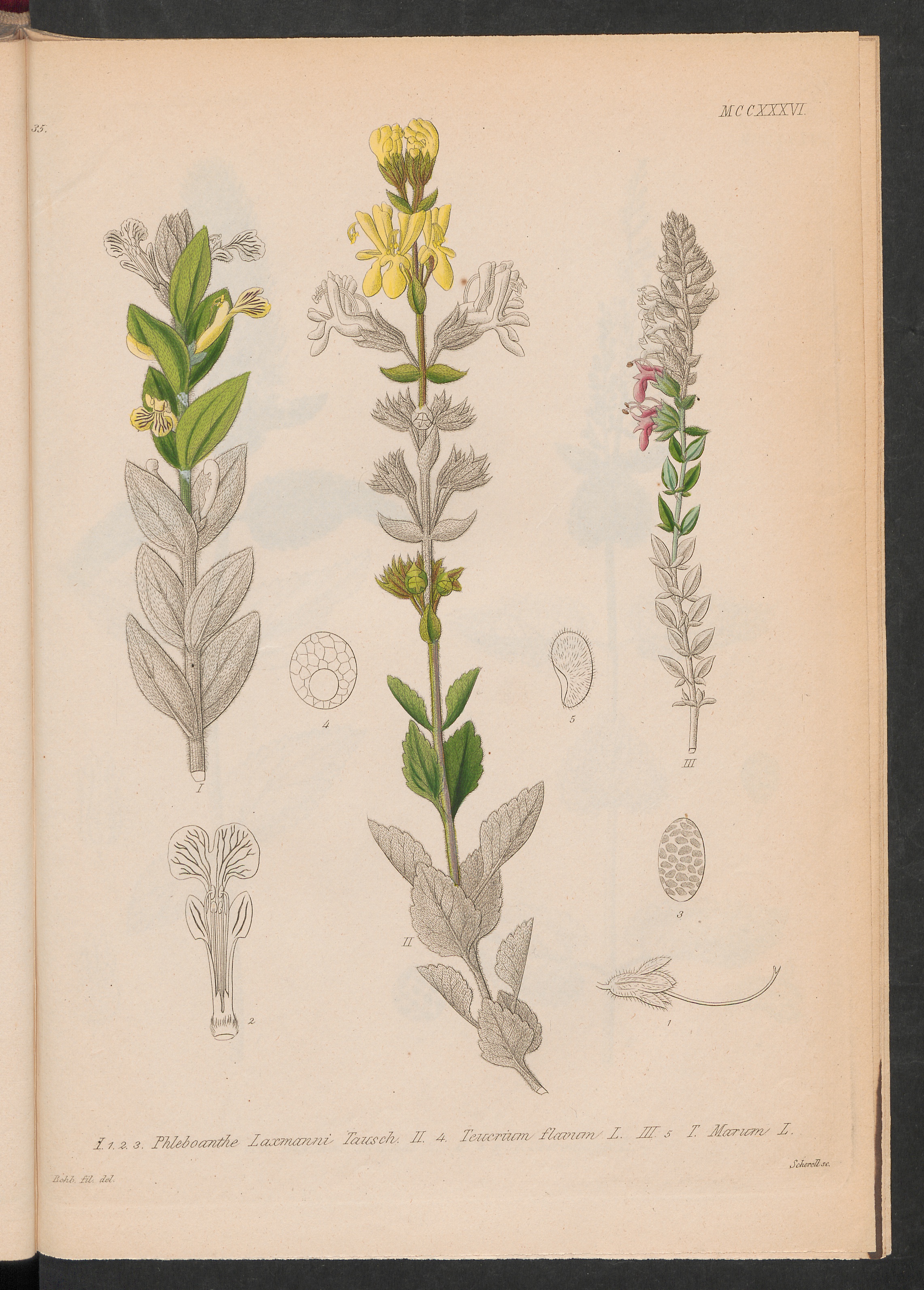 no full size  illustration available (3a)