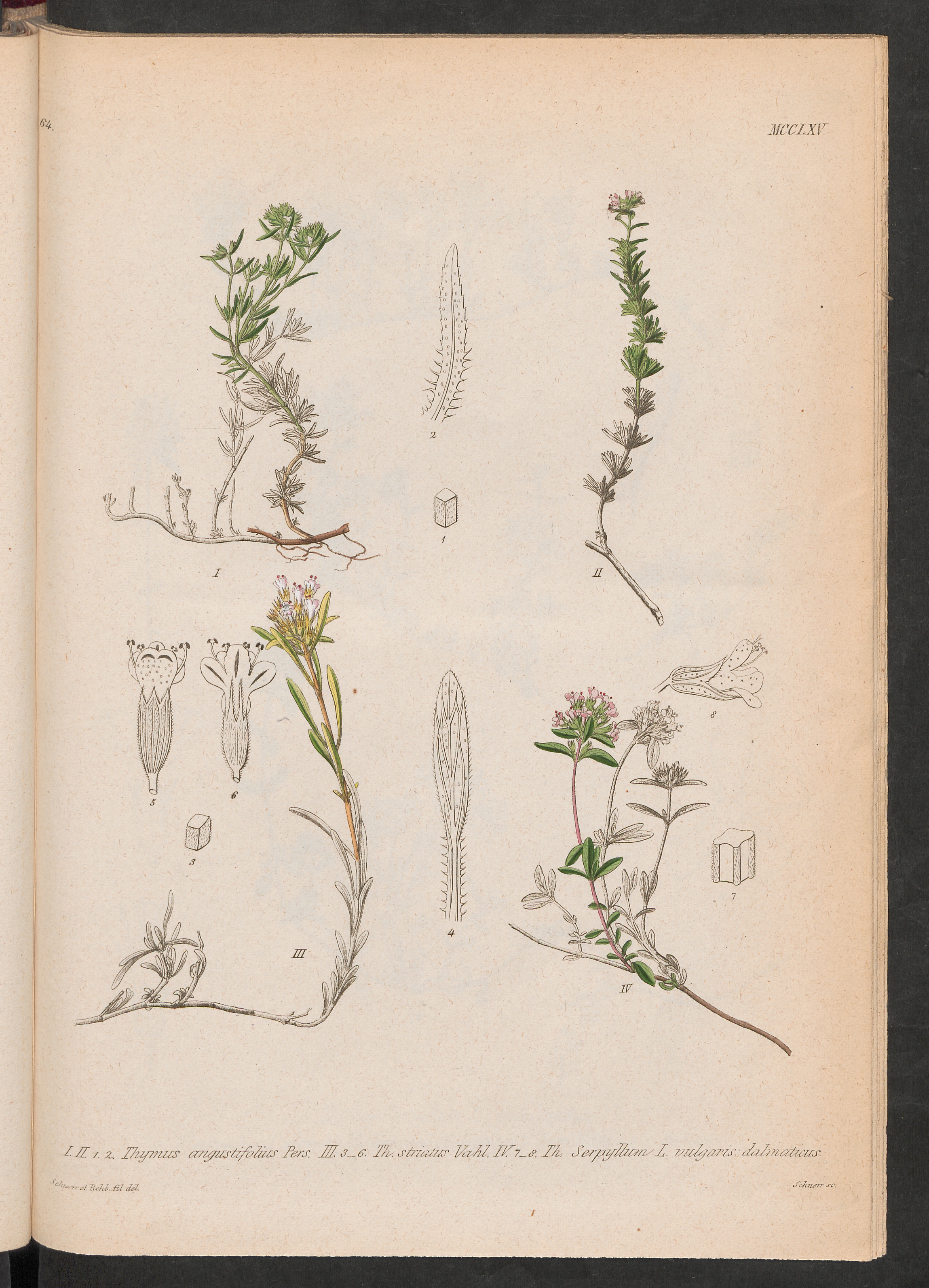 no full size  illustration available (3a)