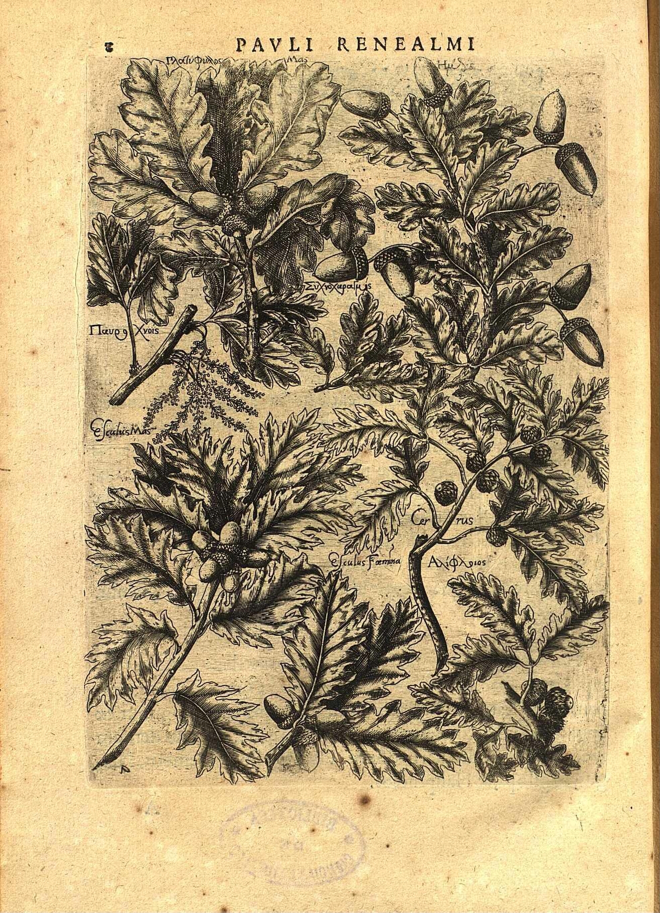 no full size  illustration available (3a)