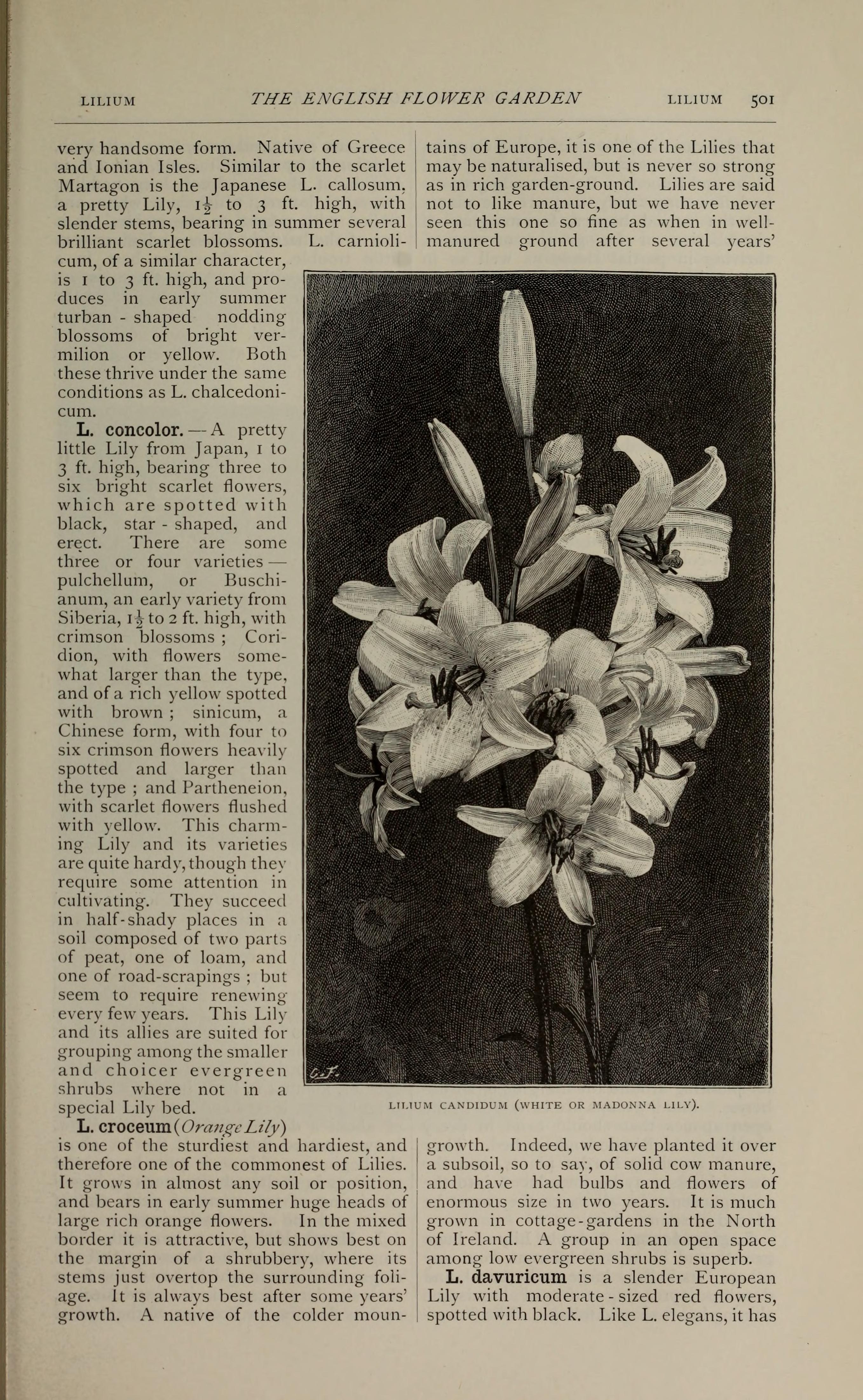 no full size  illustration available (3a)