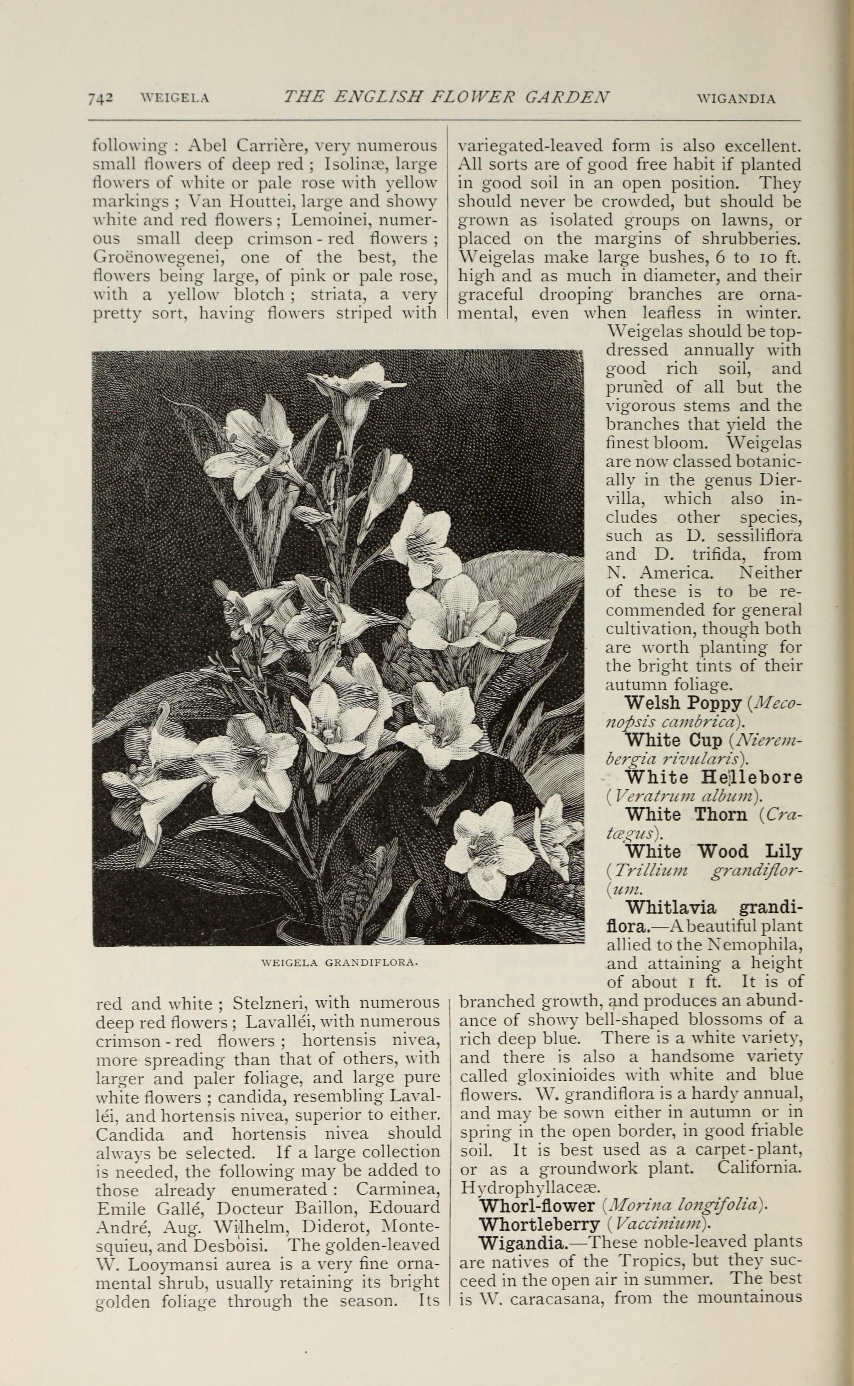 no full size  illustration available (3a)