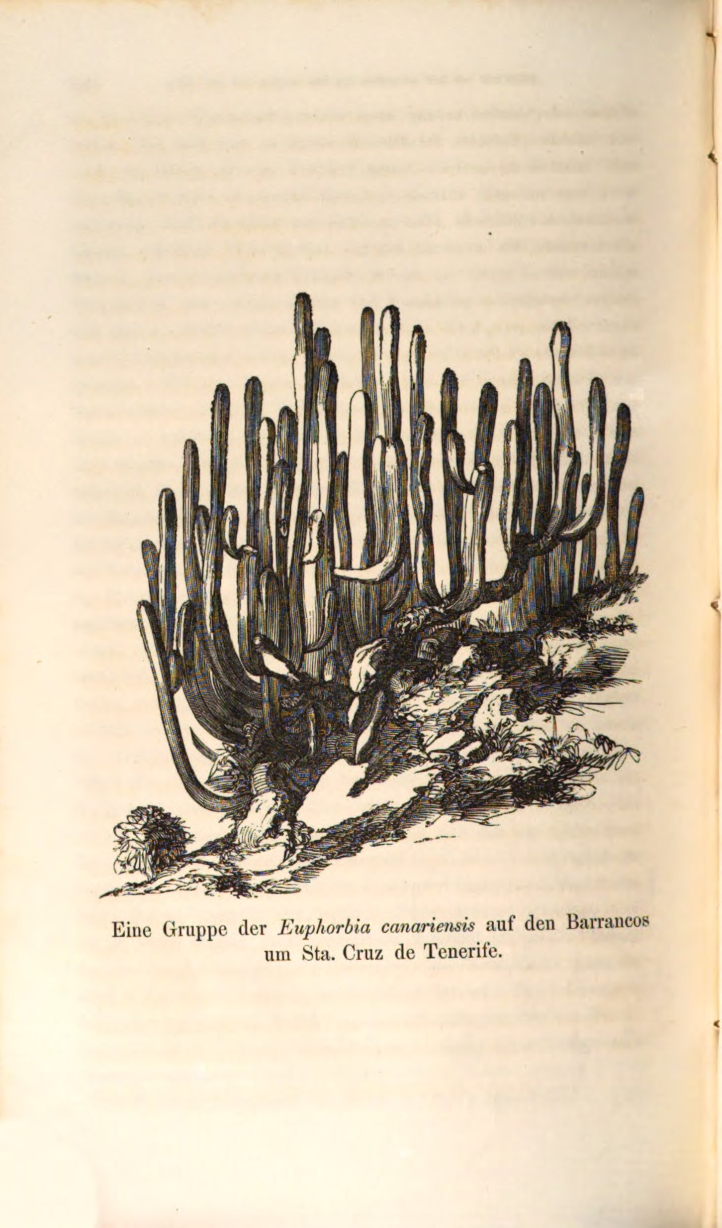 no full size  illustration available (3a)