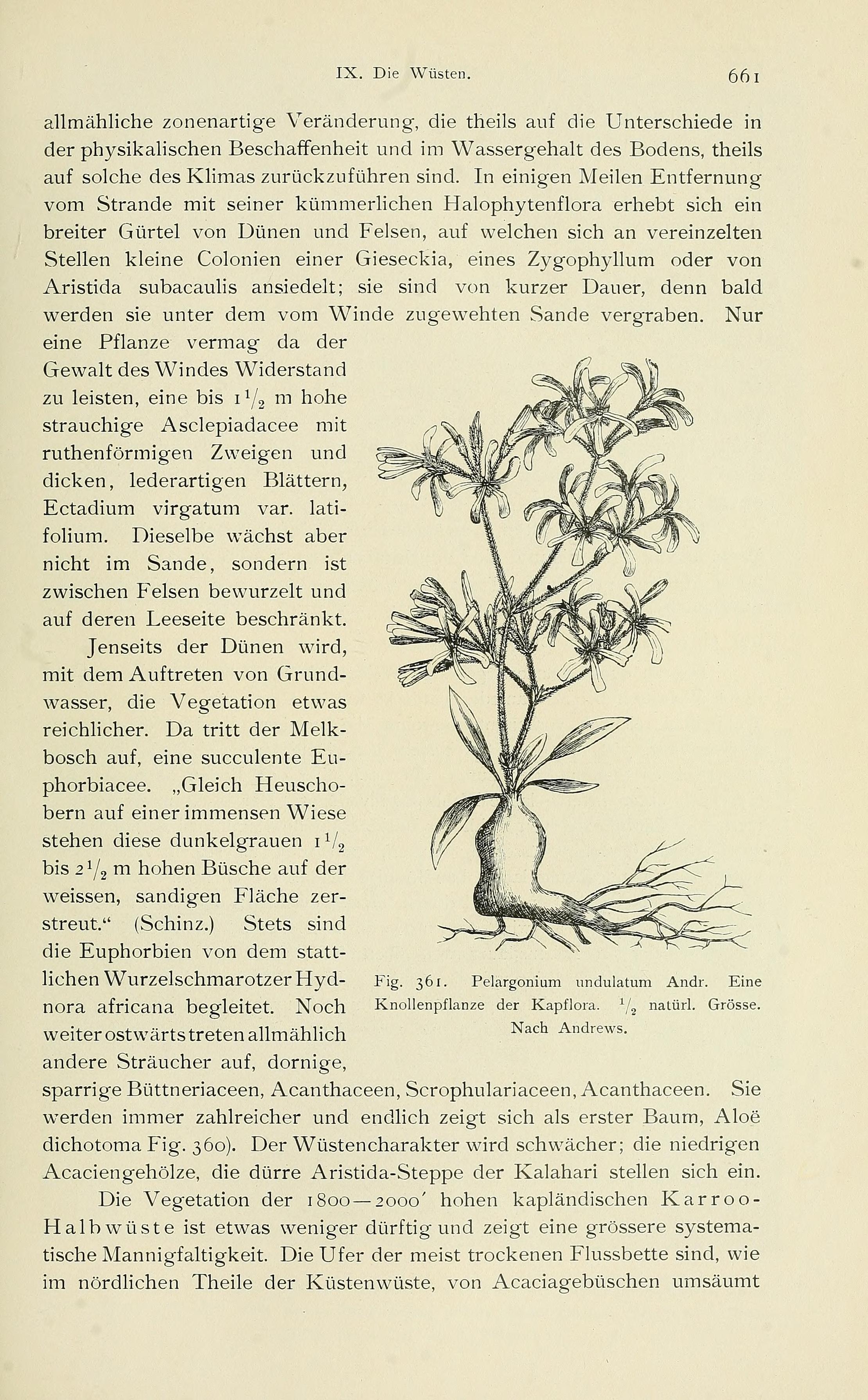 no full size  illustration available (3a)