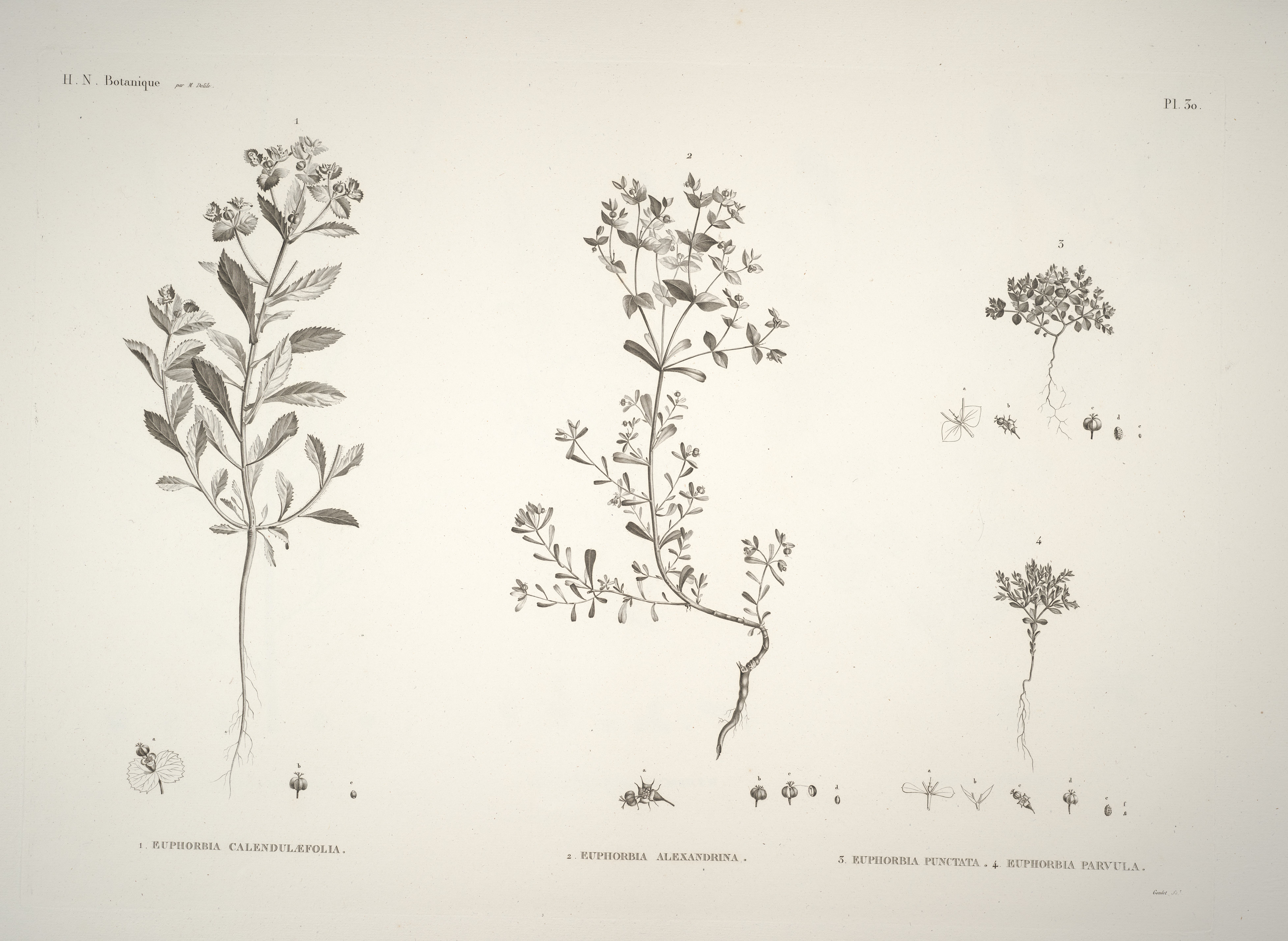 no full size  illustration available (3a)