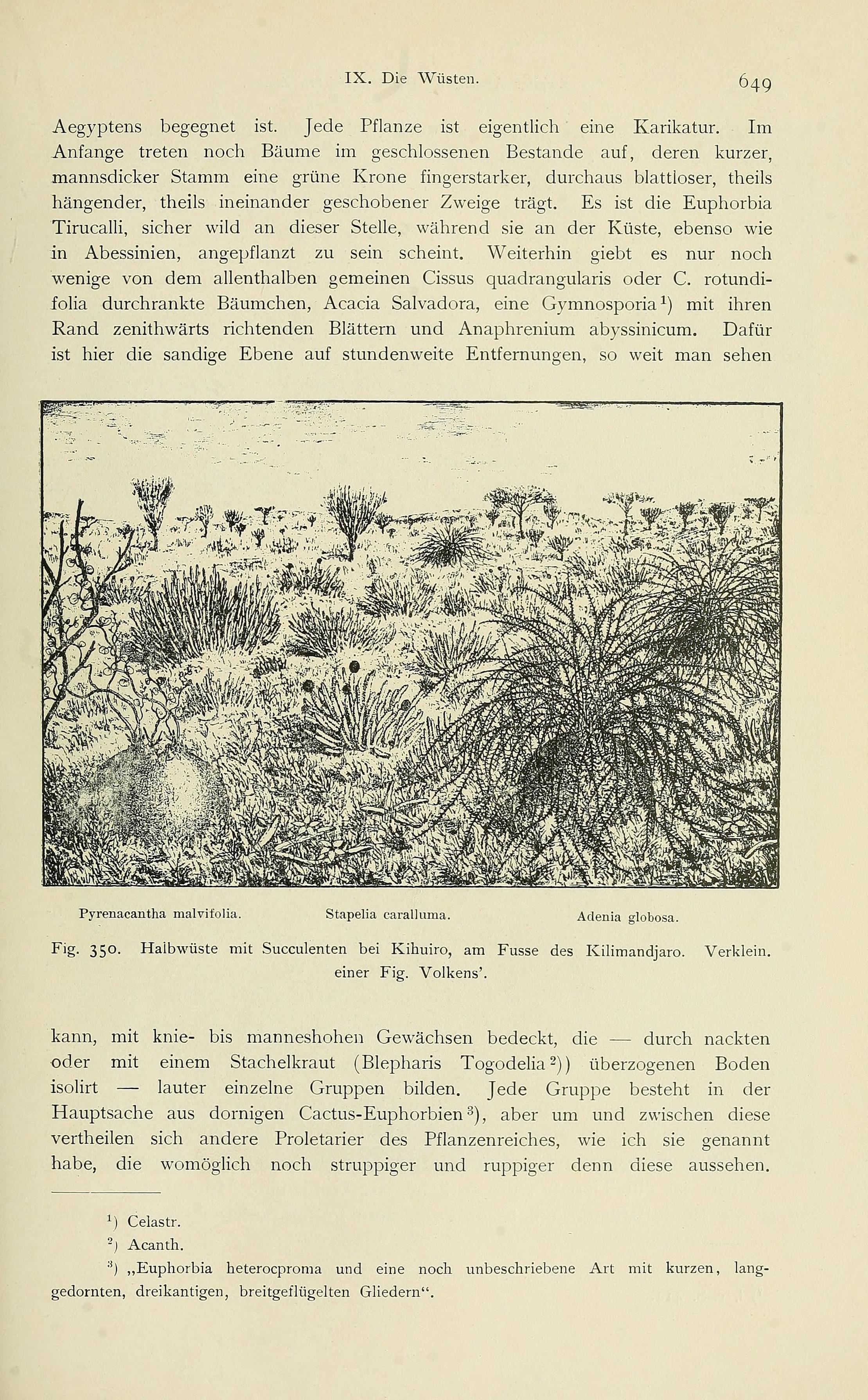 no full size  illustration available (3a)