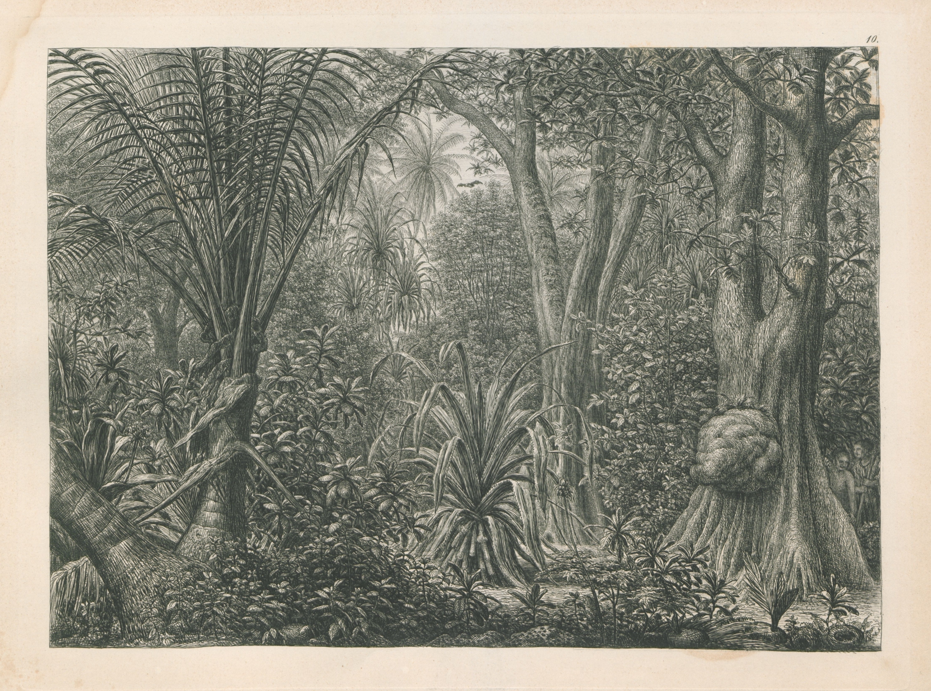 no full size  illustration available (3a)