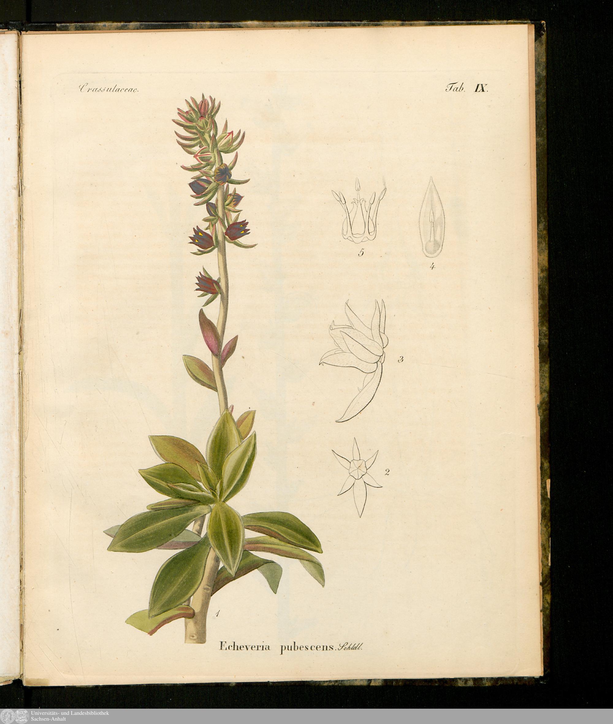 no full size  illustration available (3a)