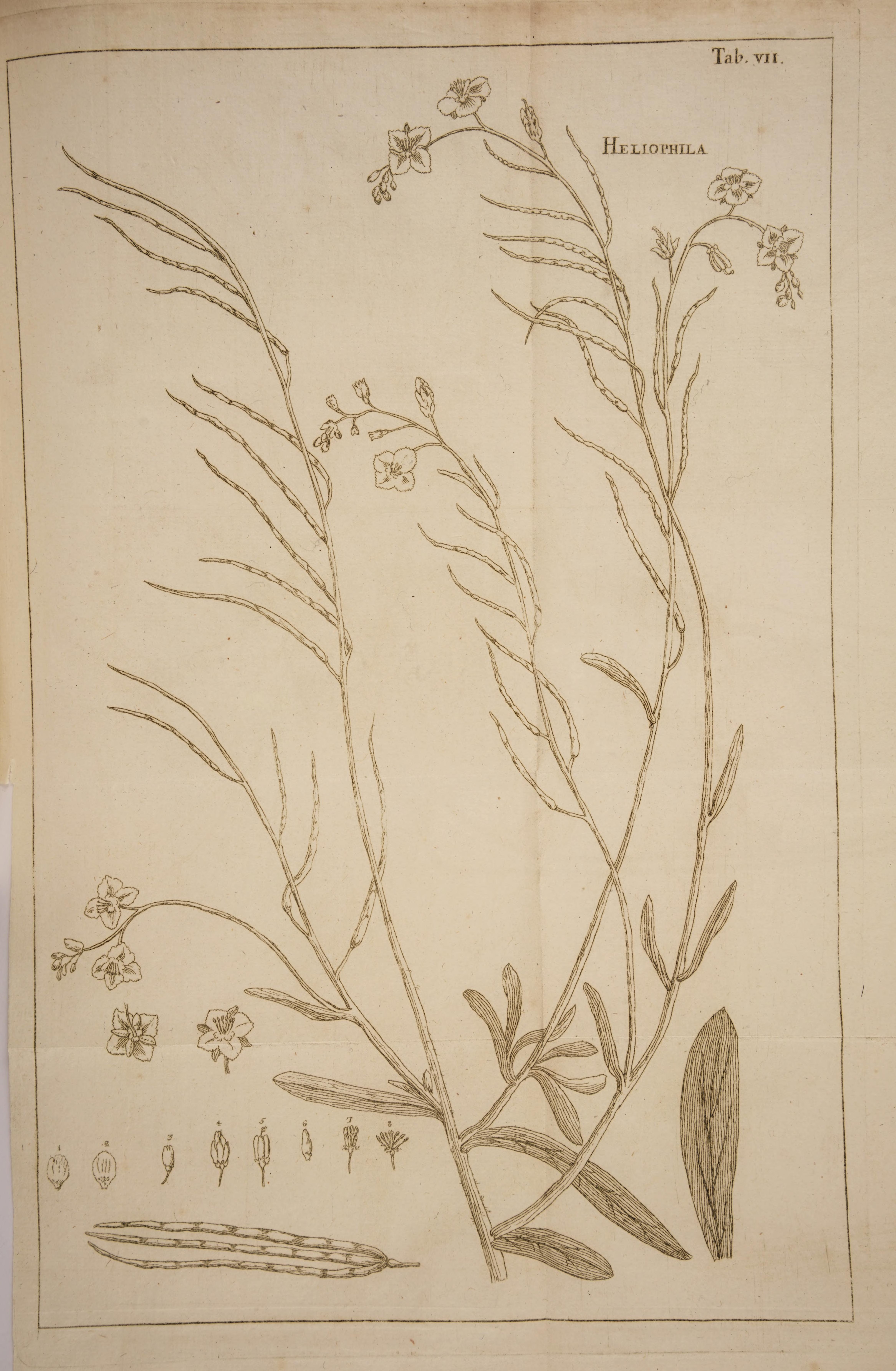 no full size  illustration available (3a)