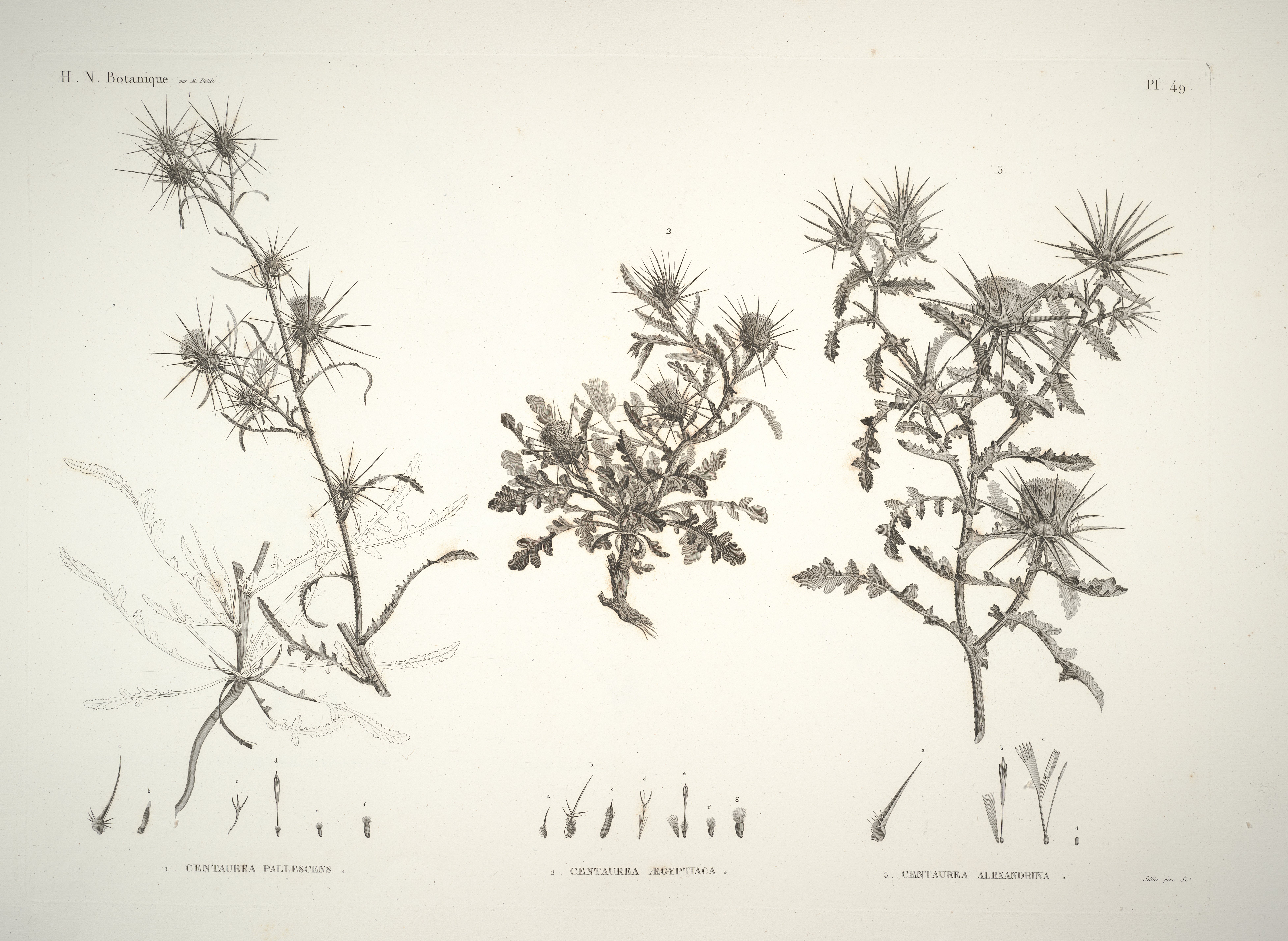 no full size  illustration available (3a)