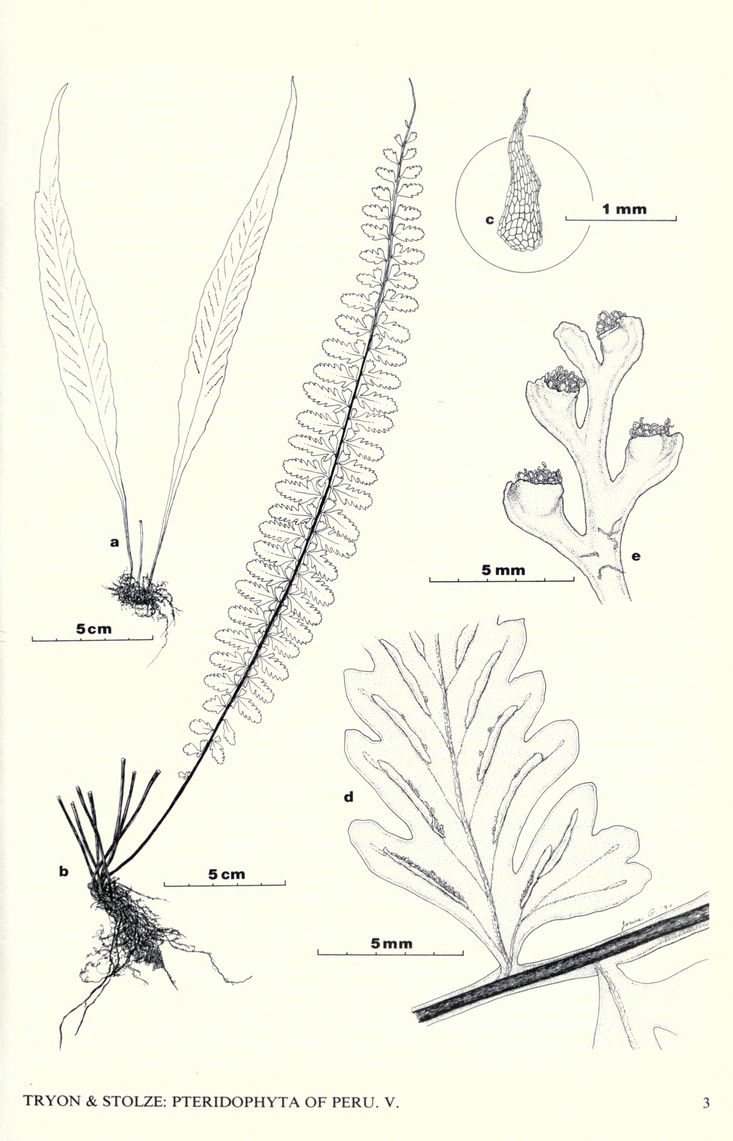 no full size  illustration available (3a)