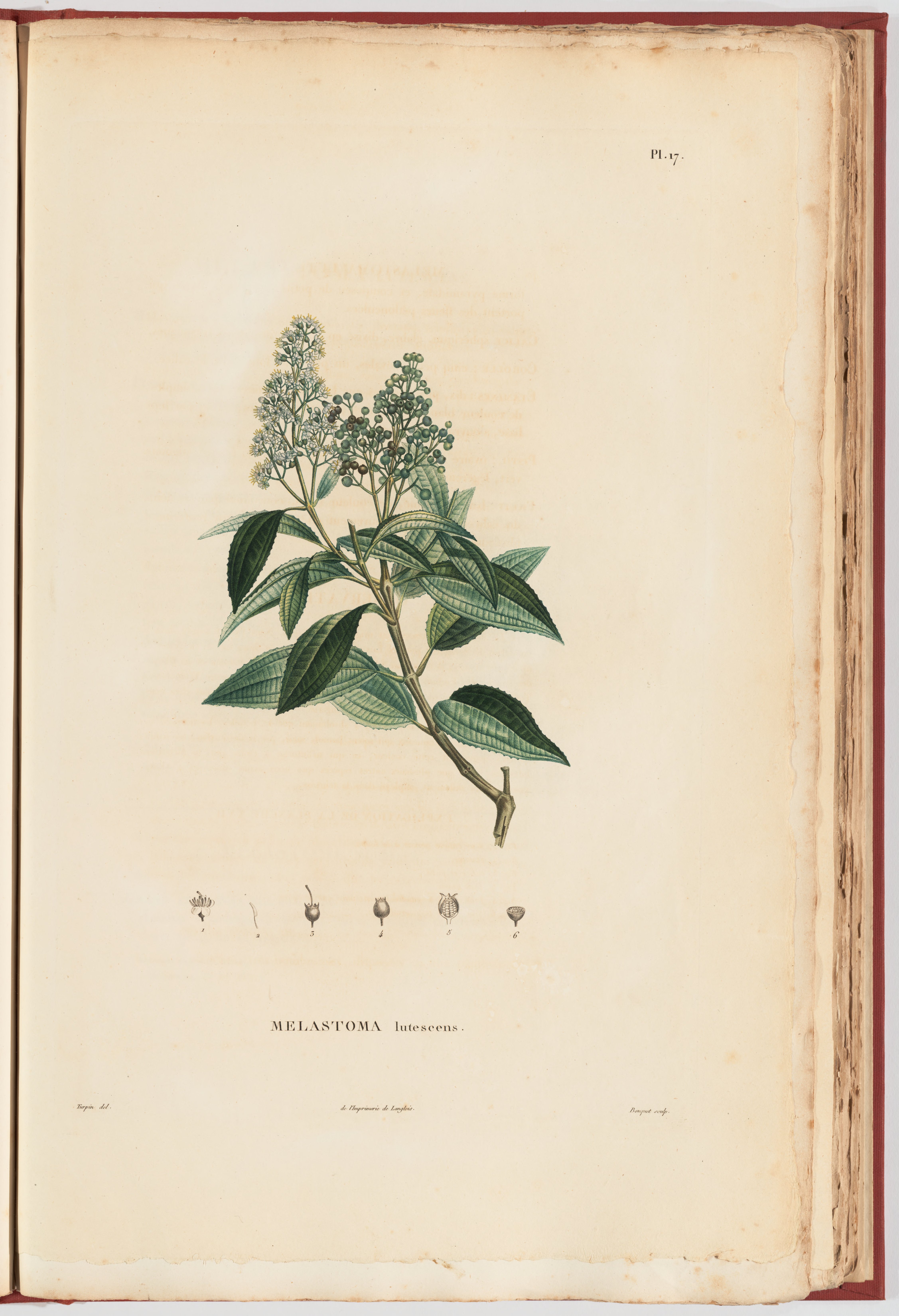 no full size  illustration available (3a)