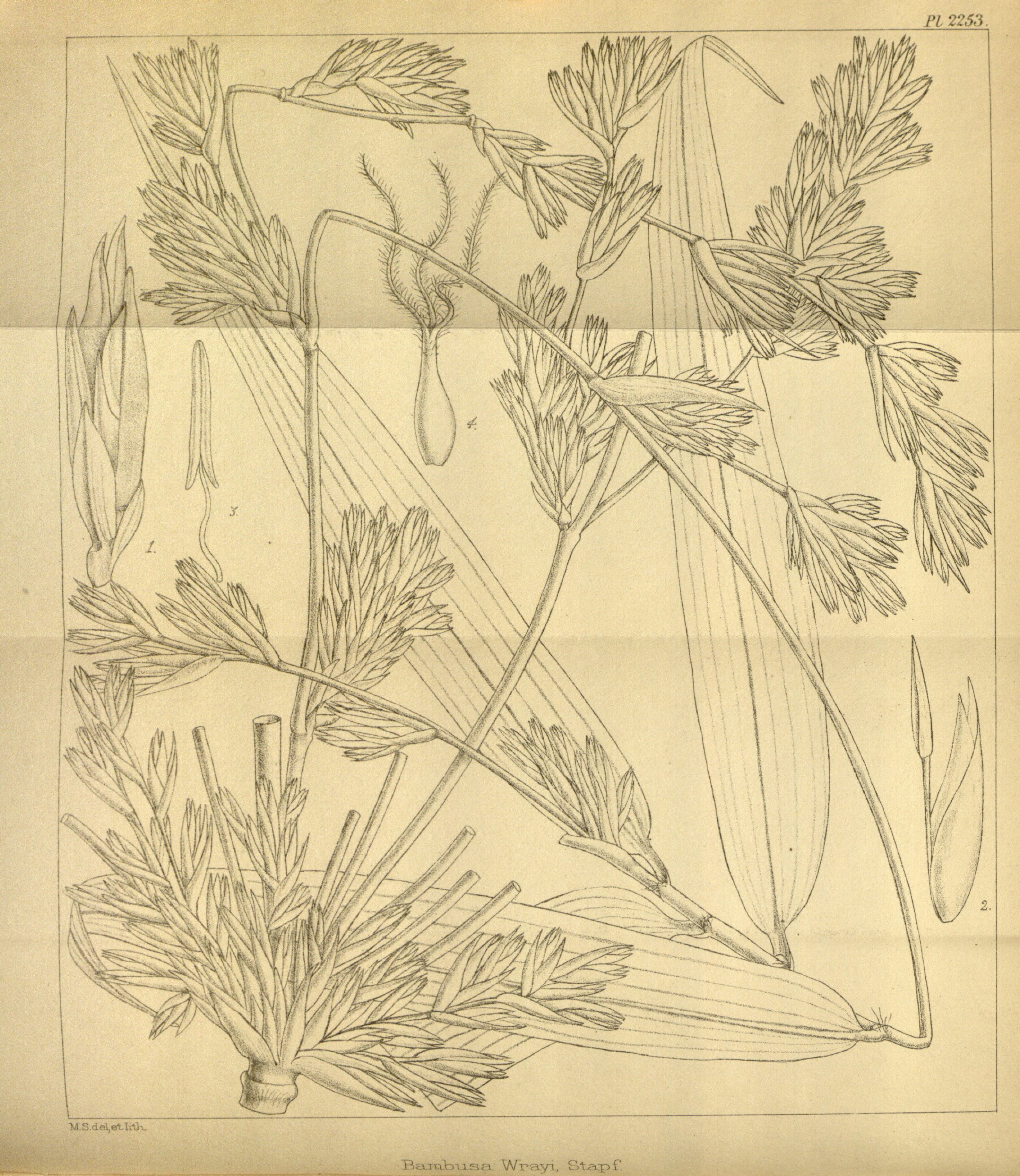 no full size  illustration available (3a)