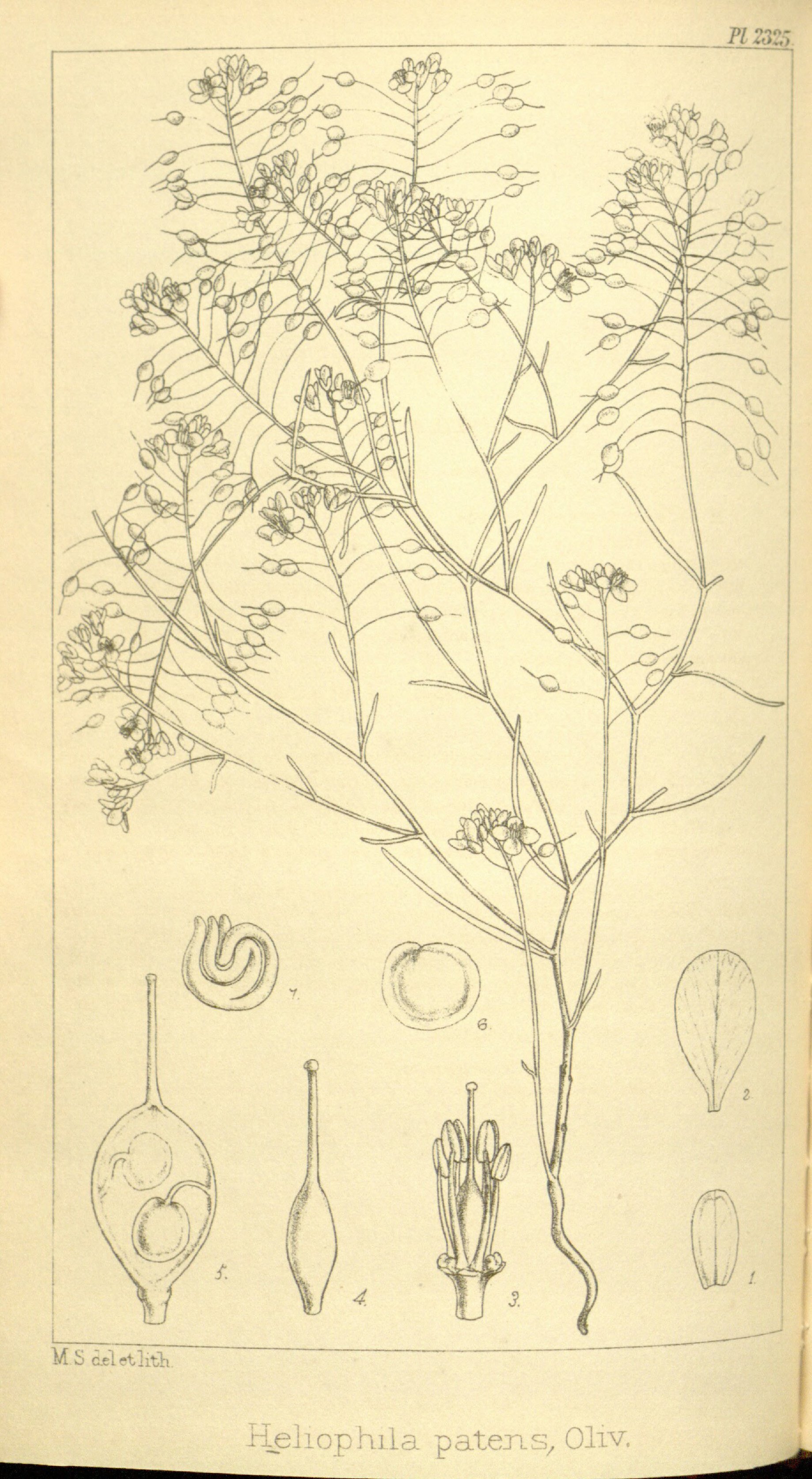 no full size  illustration available (3a)