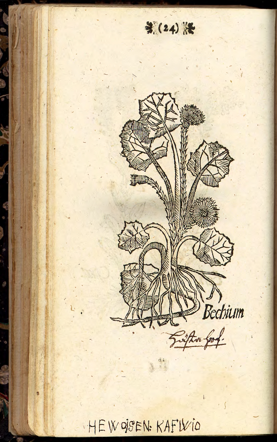 no full size  illustration available (3a)