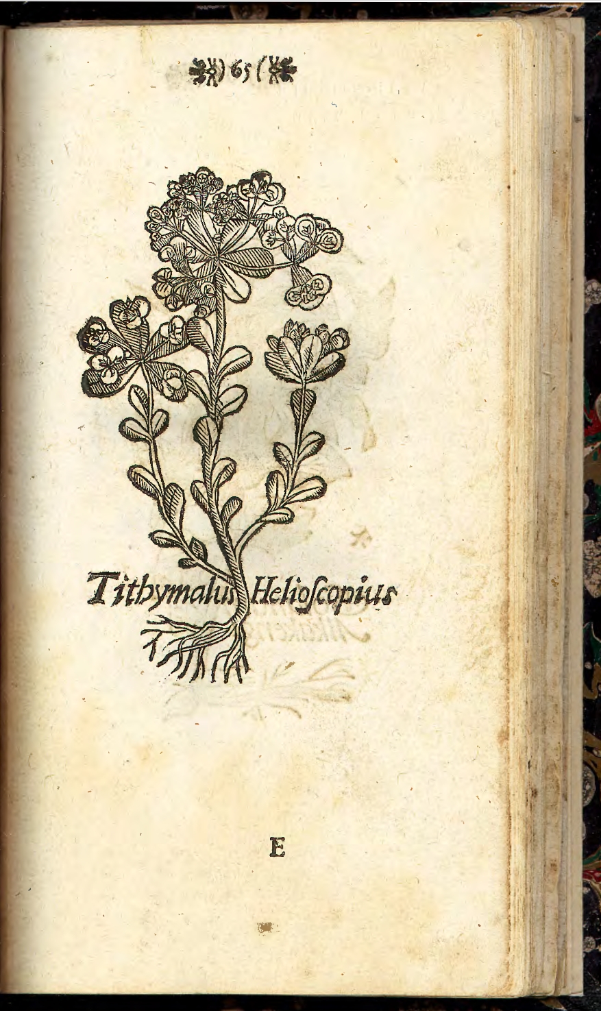 no full size  illustration available (3a)