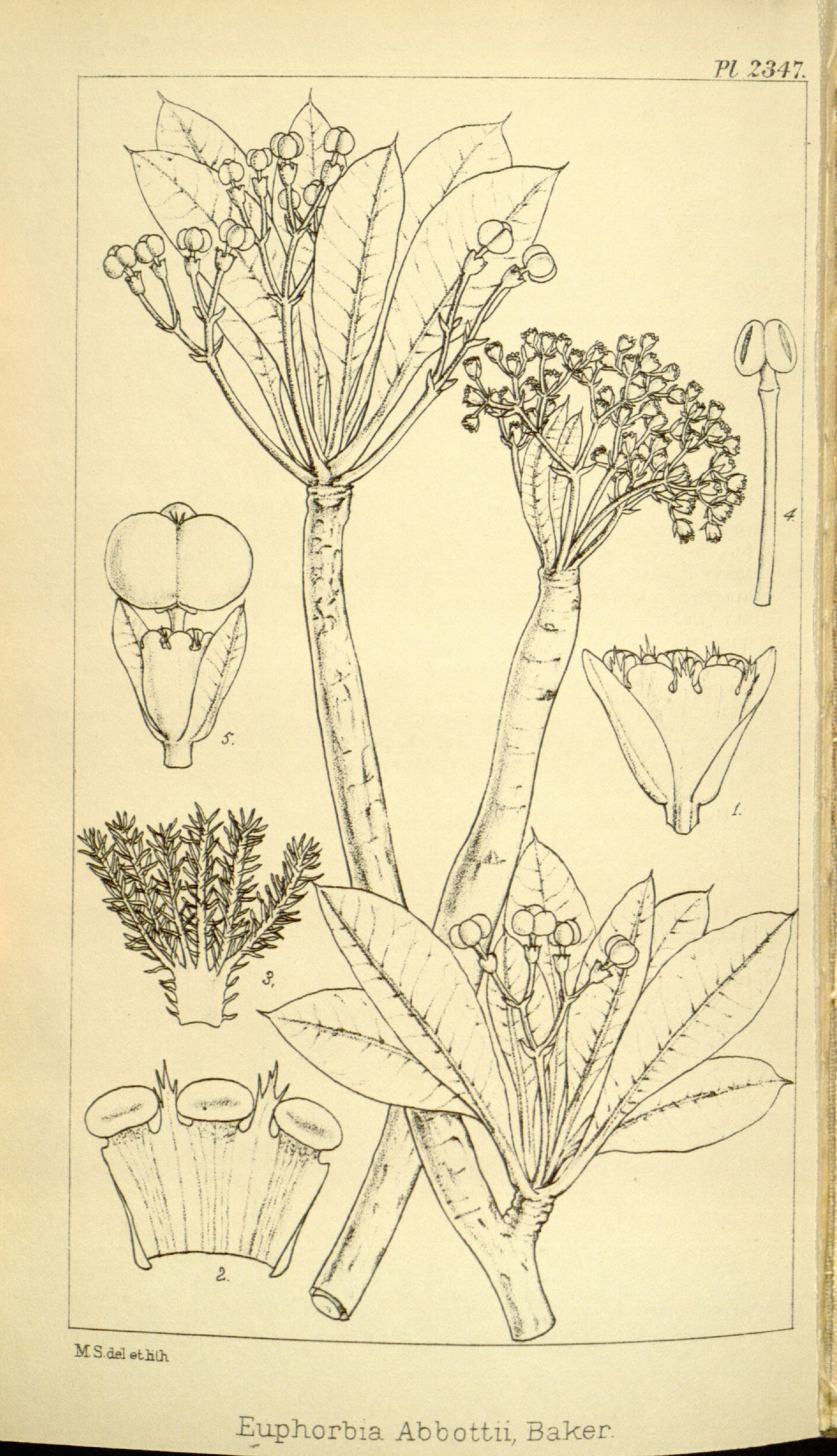 no full size  illustration available (3a)