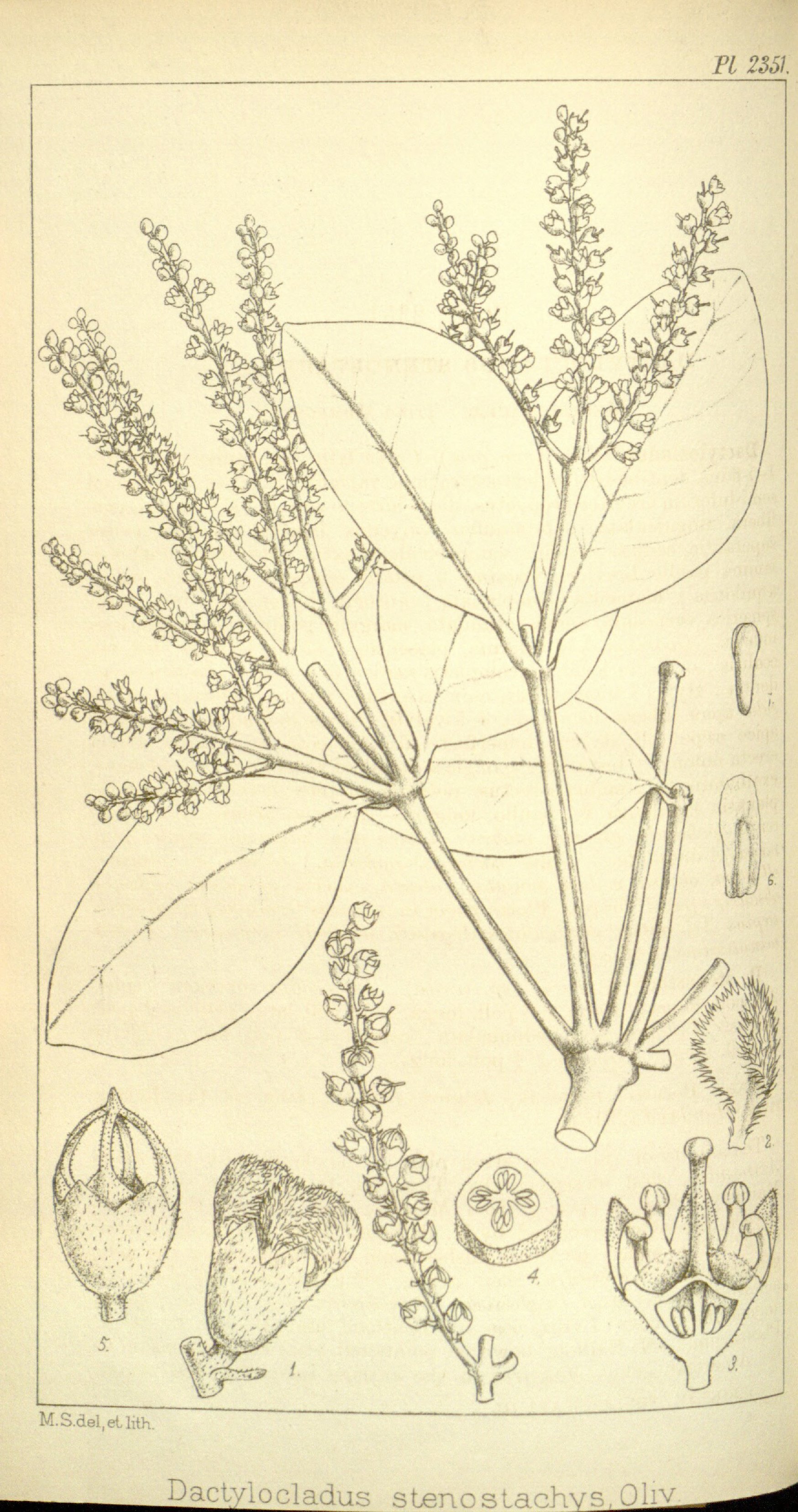 no full size  illustration available (3a)