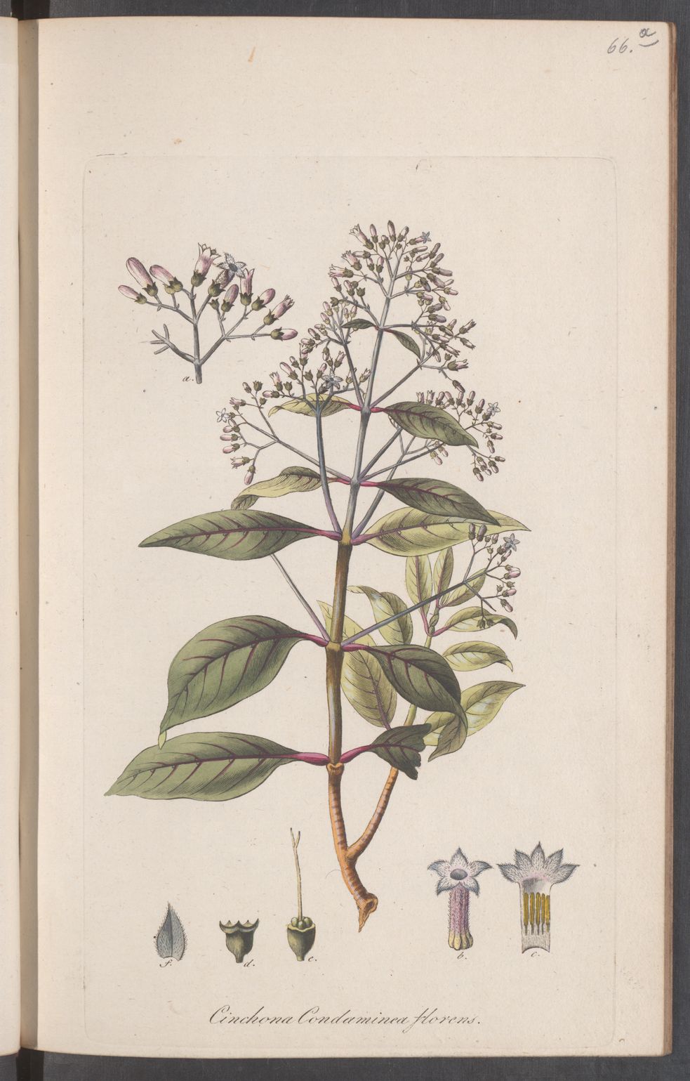 no full size  illustration available (3a)