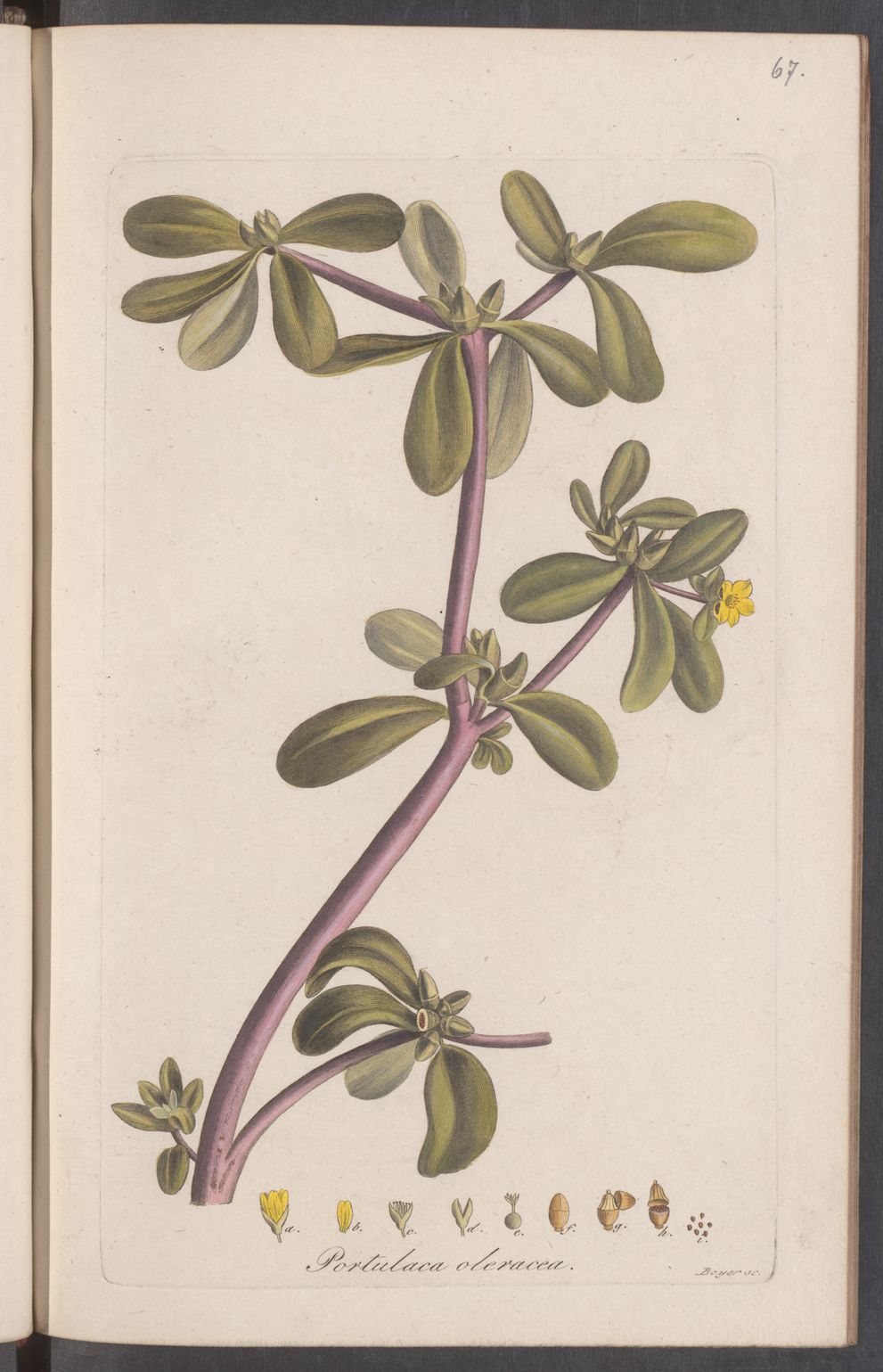 no full size  illustration available (3a)