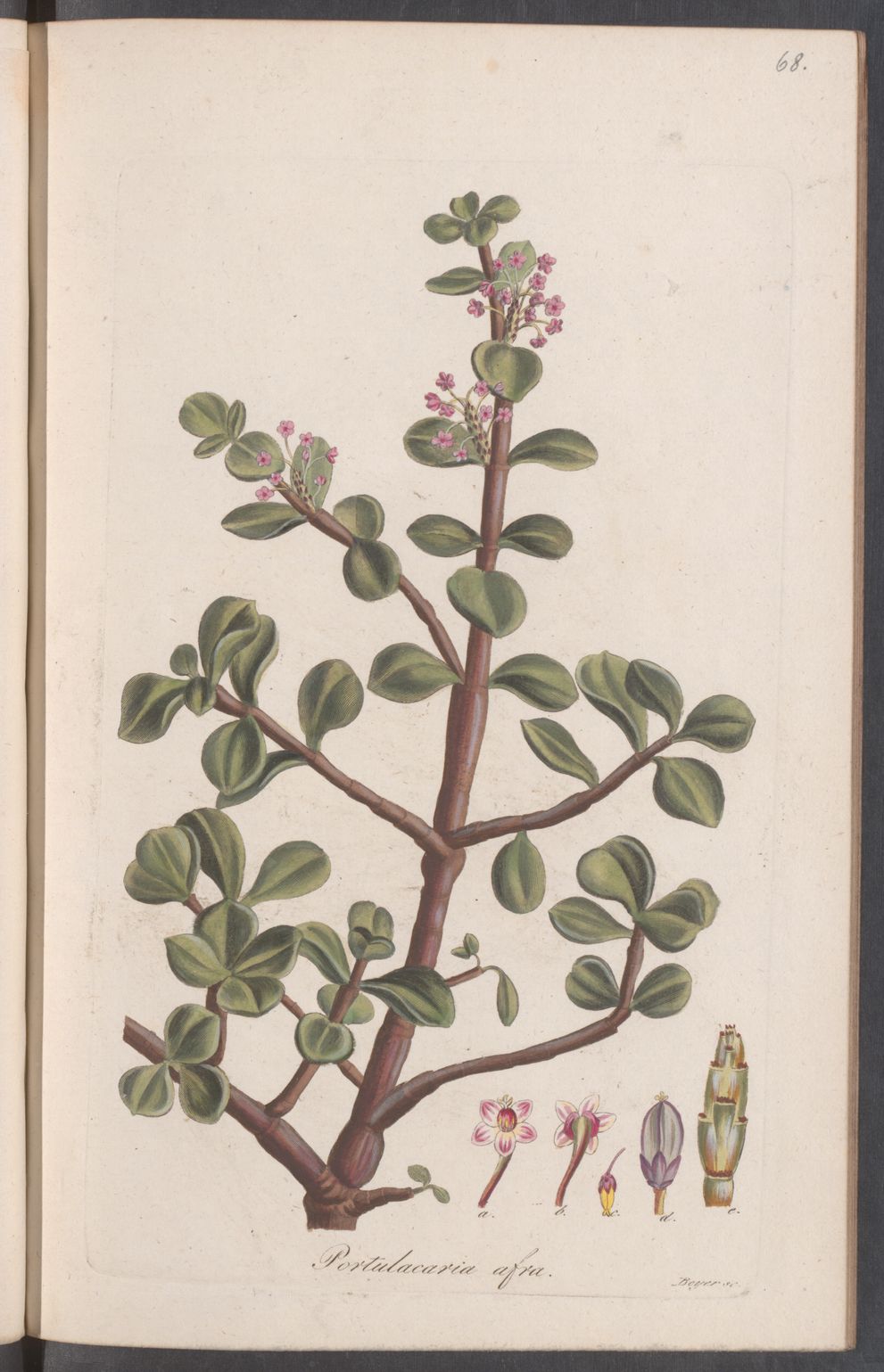 no full size  illustration available (3a)