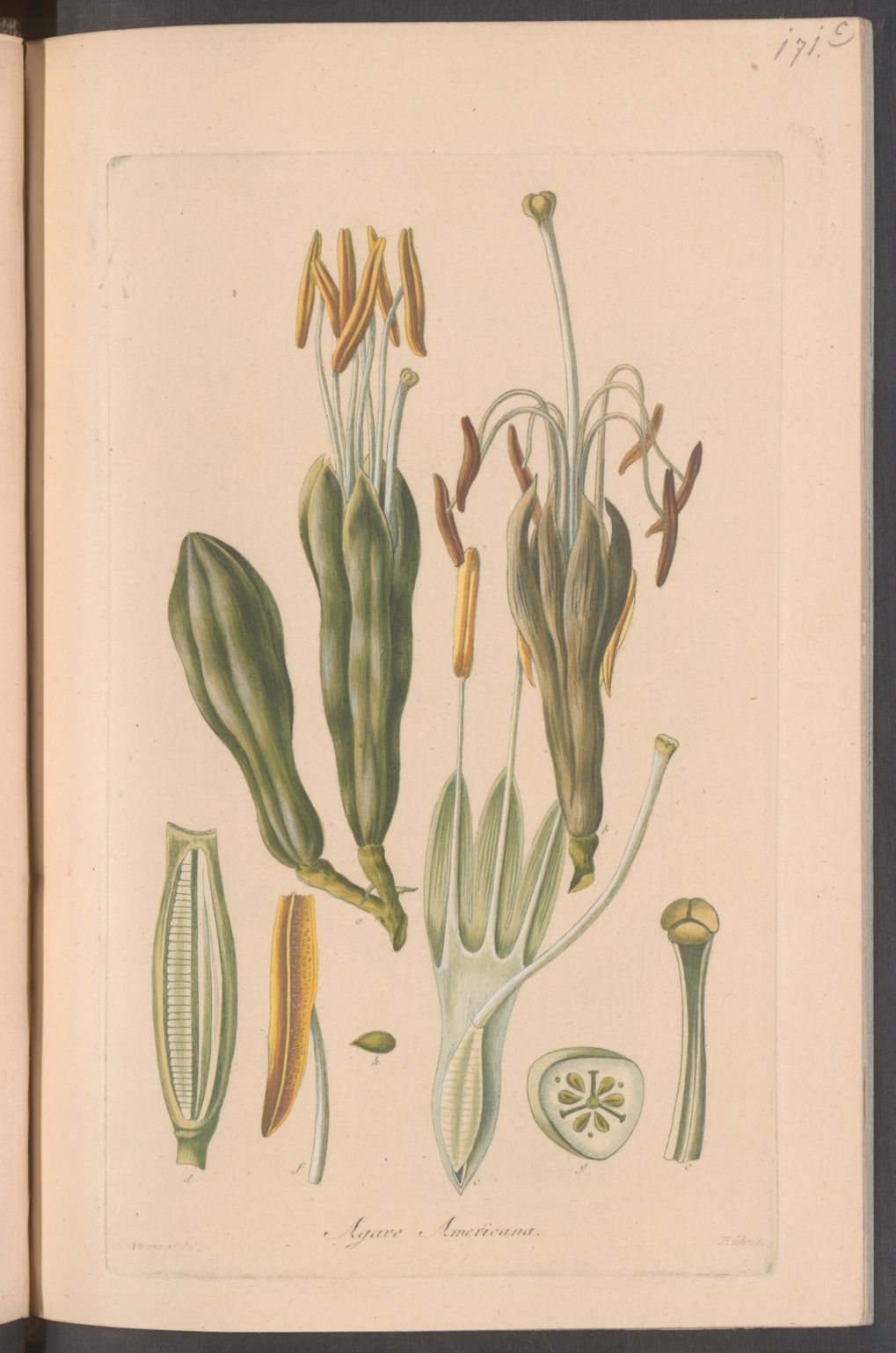 no full size  illustration available (3a)