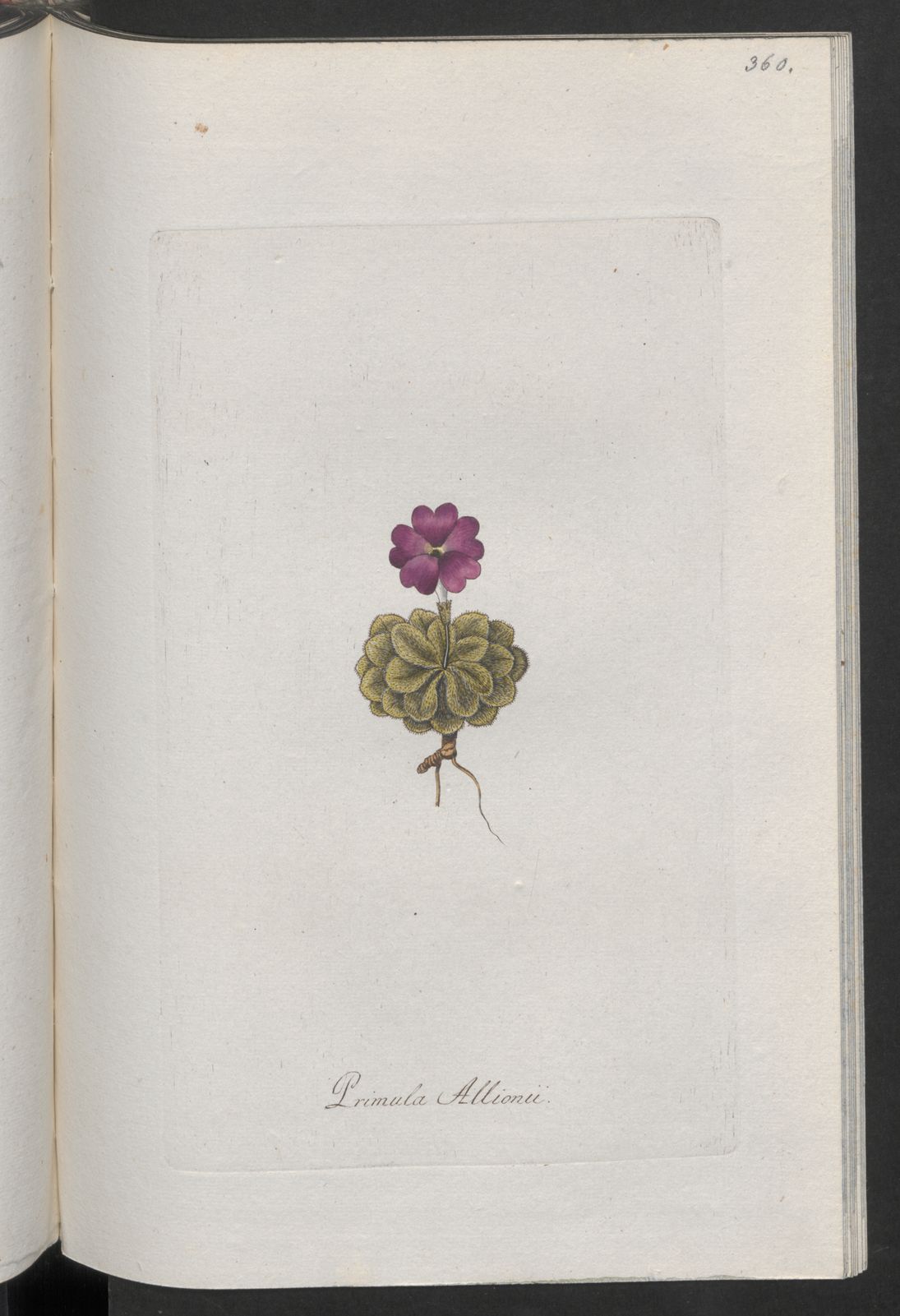 no full size  illustration available (3a)