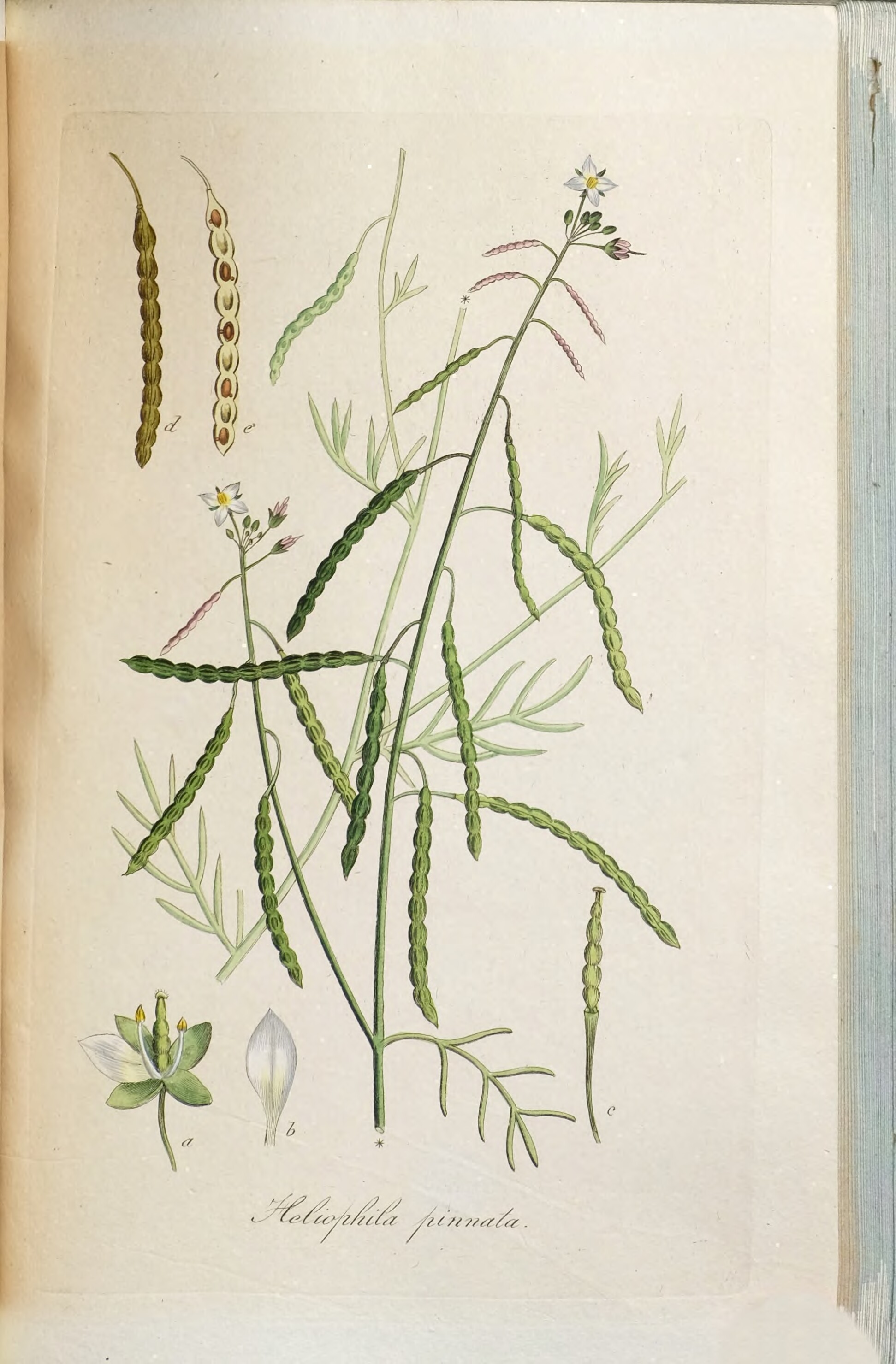 no full size  illustration available (3a)