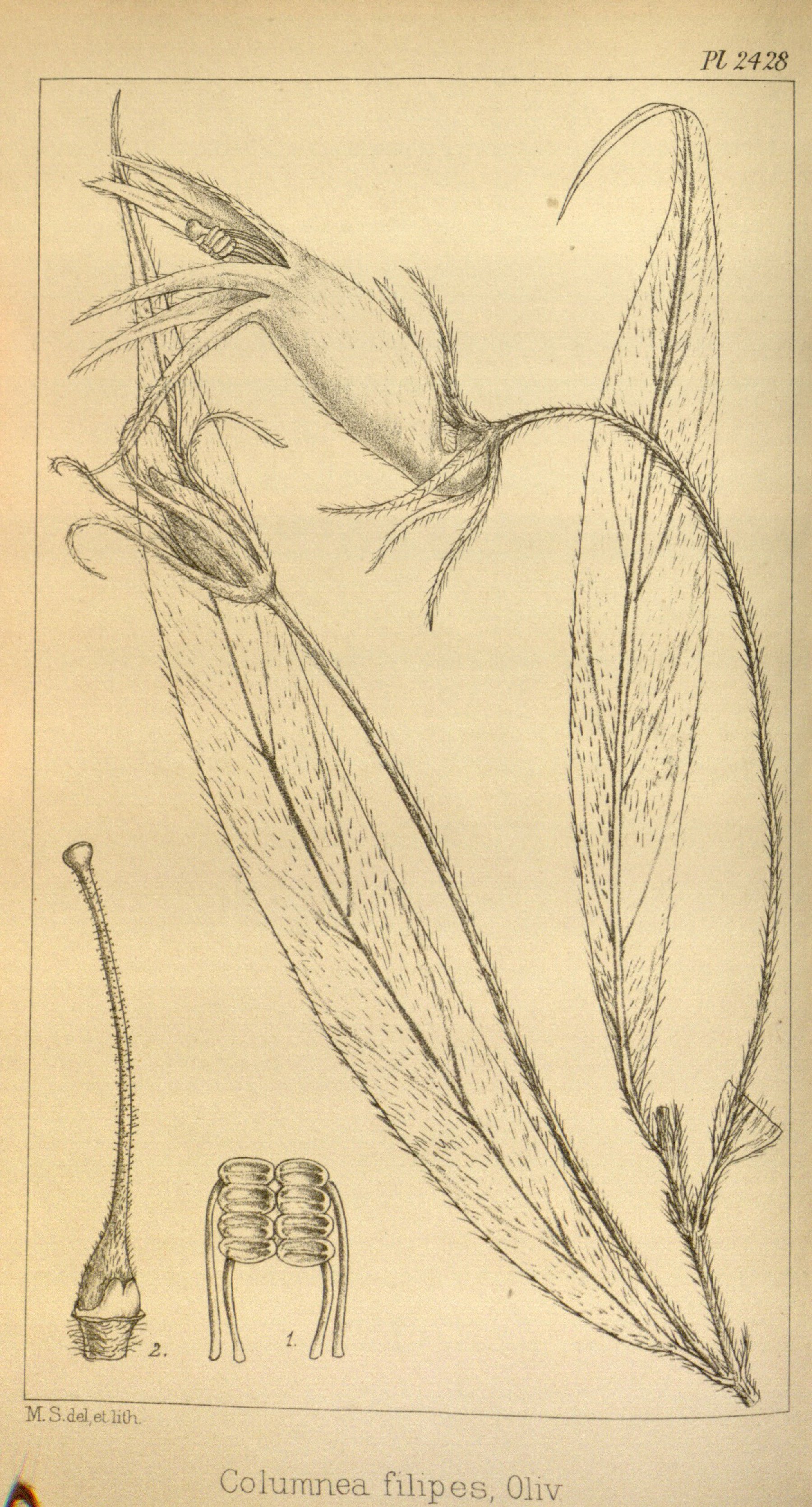 no full size  illustration available (3a)