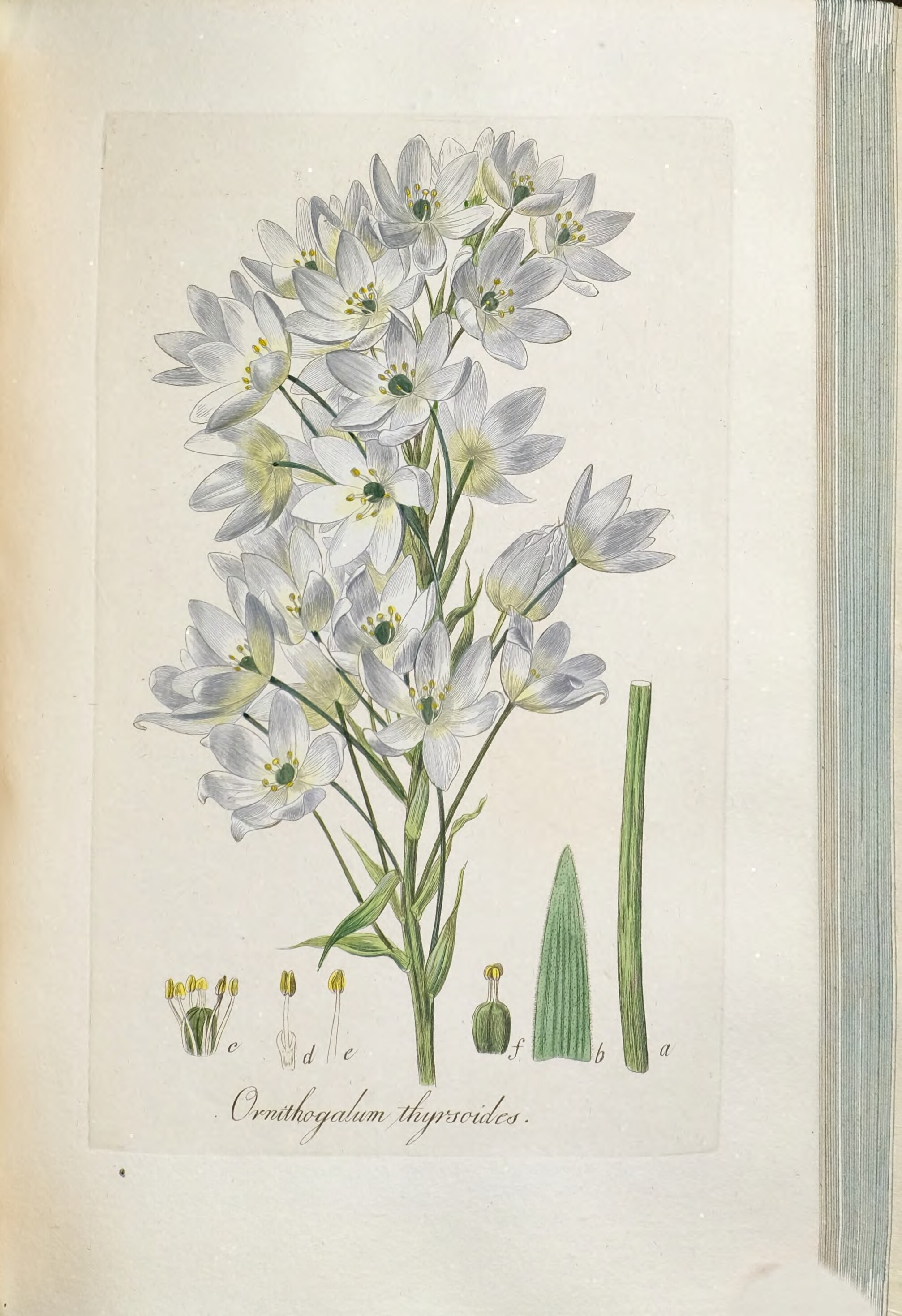 no full size  illustration available (3a)