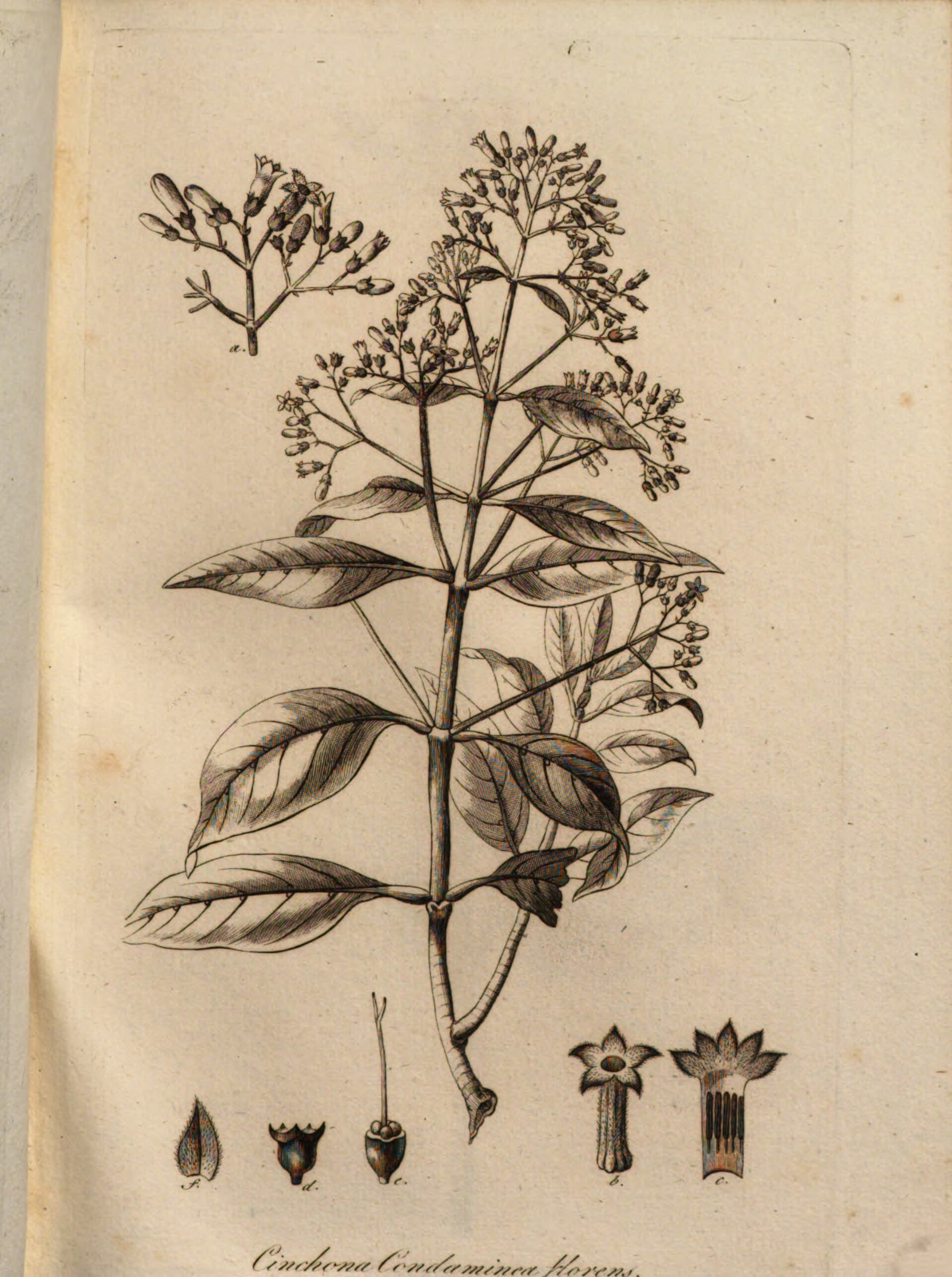 no full size  illustration available (3a)