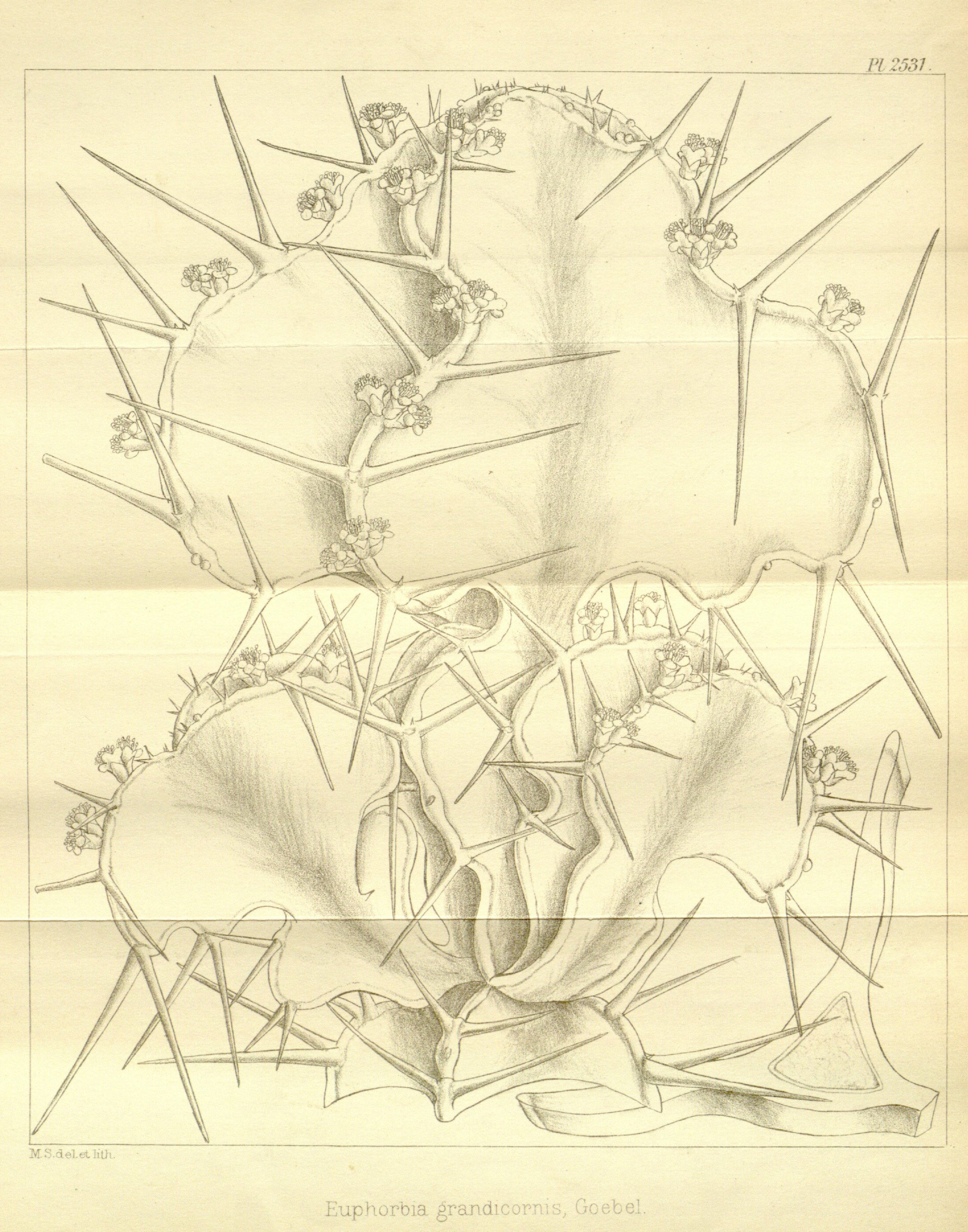 no full size  illustration available (3a)