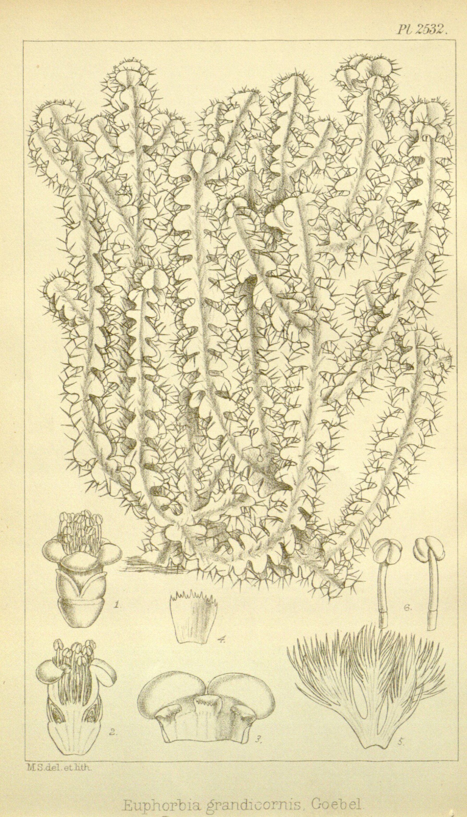 no full size  illustration available (3a)