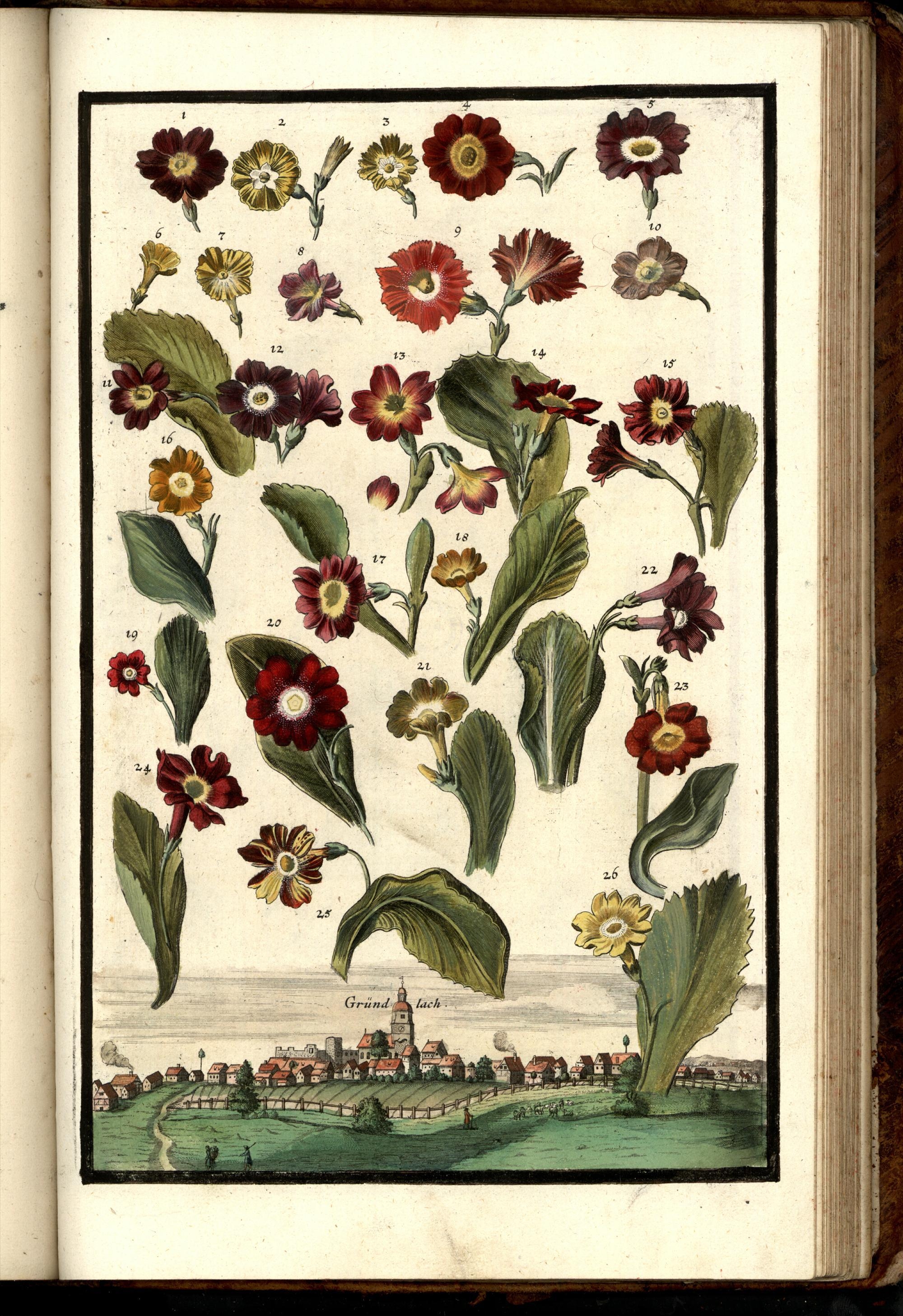 no full size  illustration available (3a)