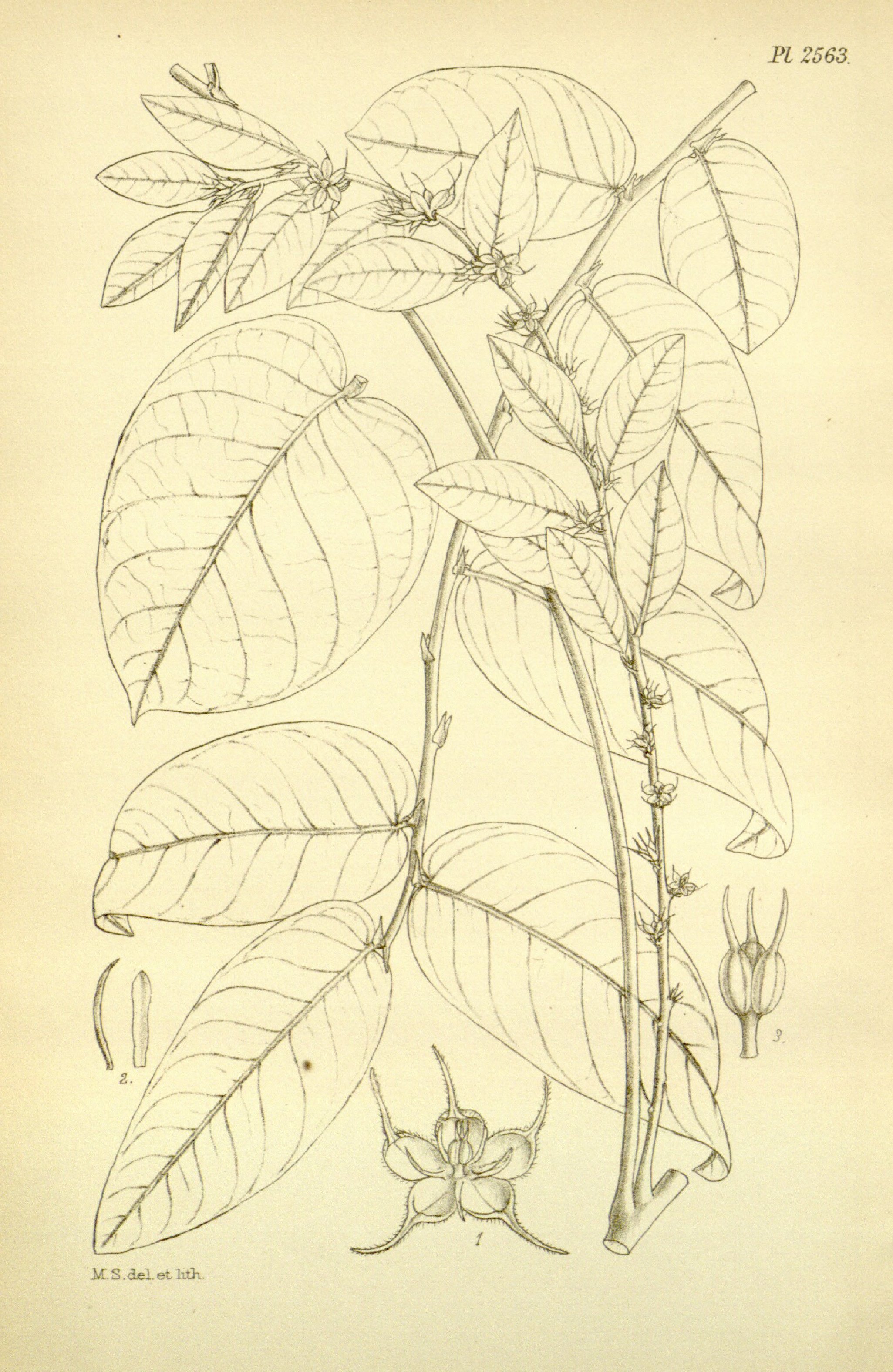 no full size  illustration available (3a)