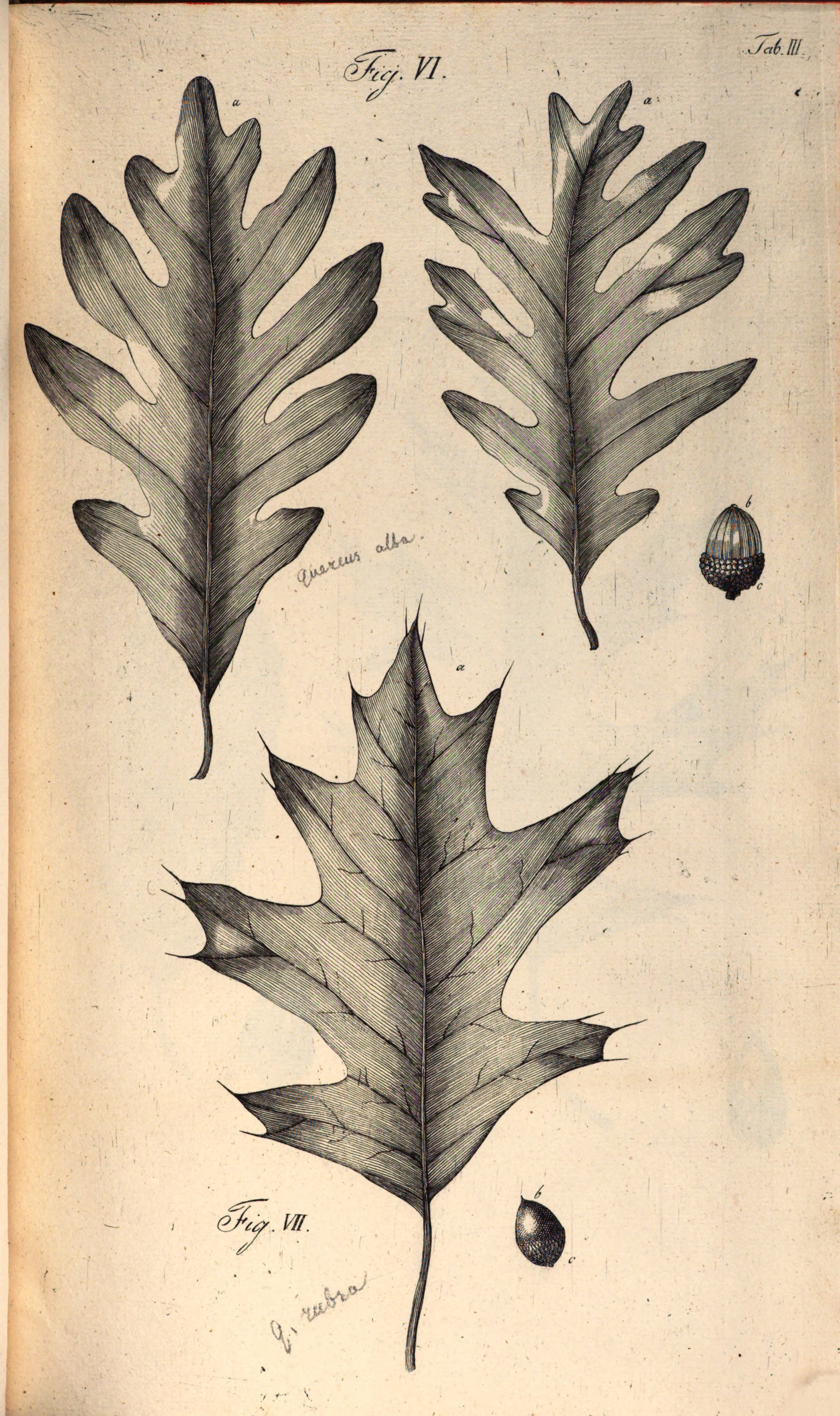 no full size  illustration available (3a)