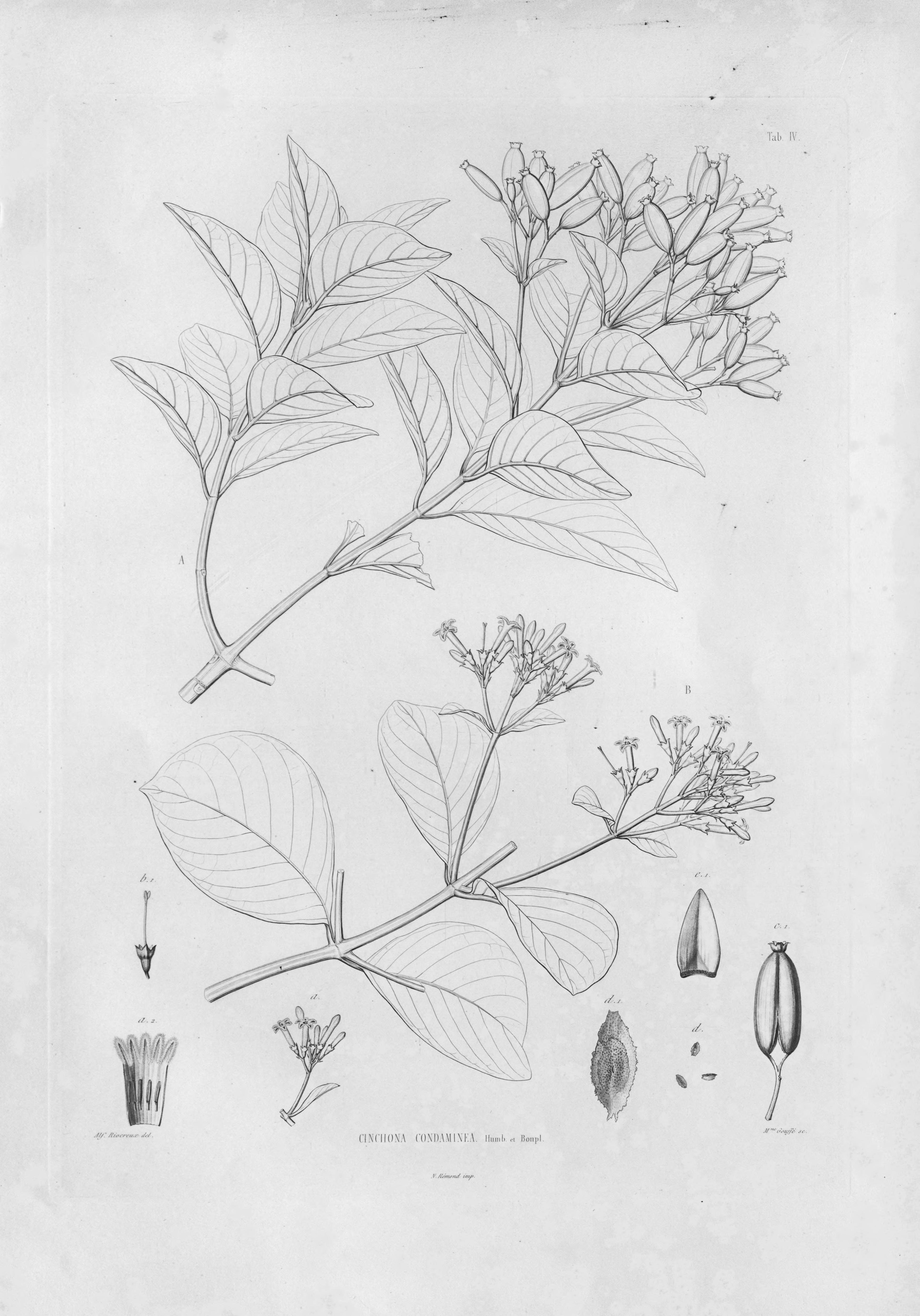 no full size  illustration available (3a)