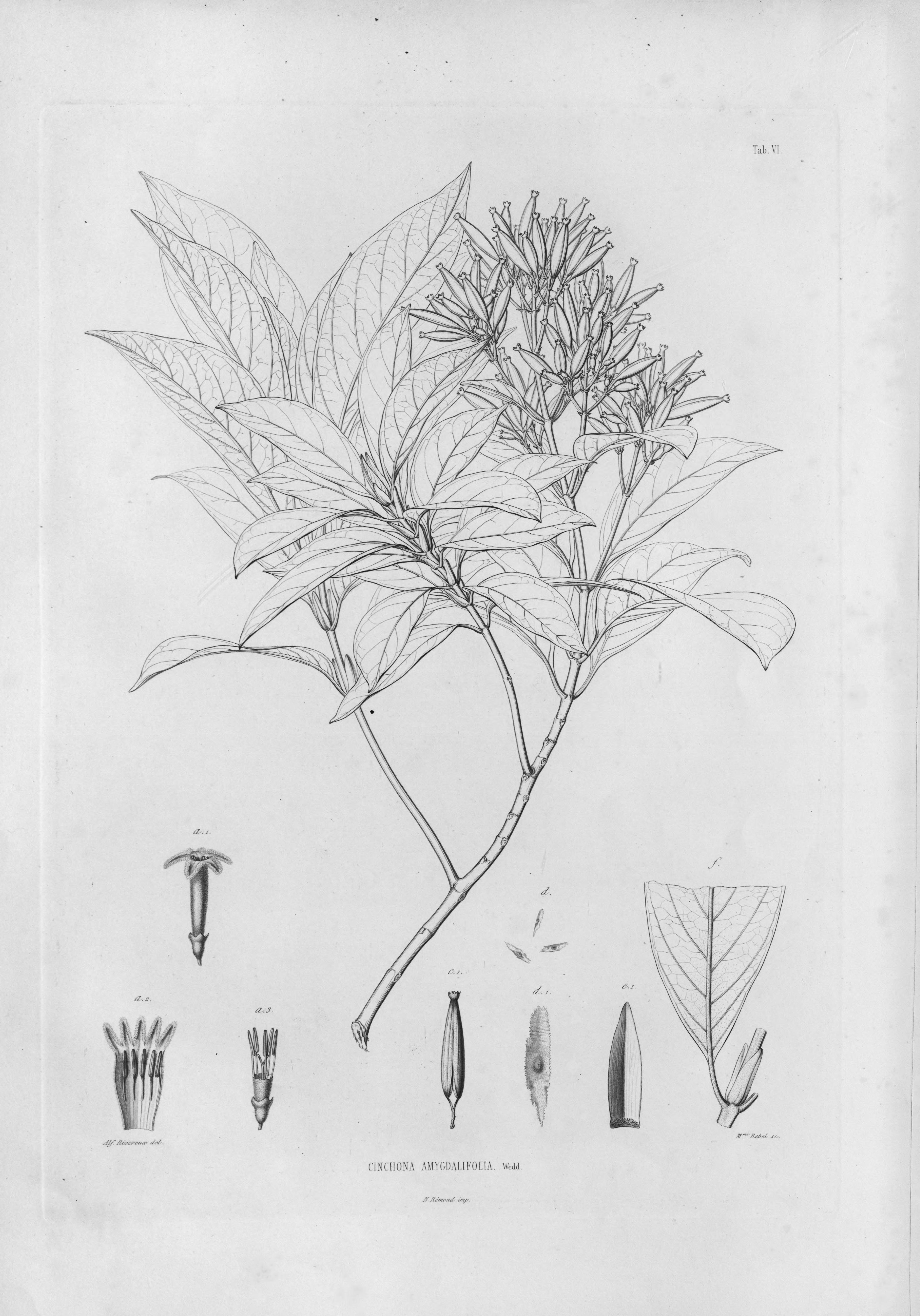 no full size  illustration available (3a)