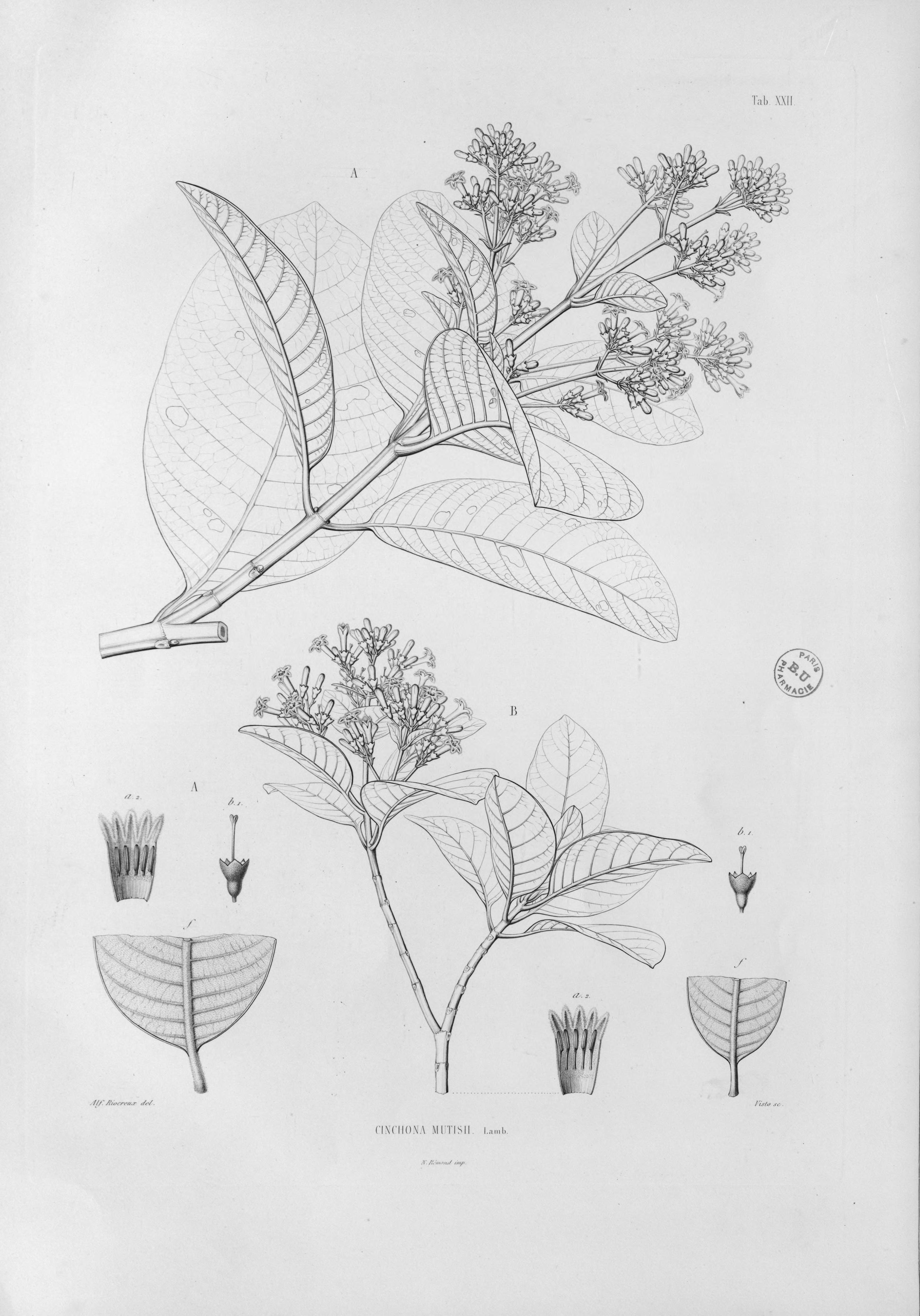 no full size  illustration available (3a)