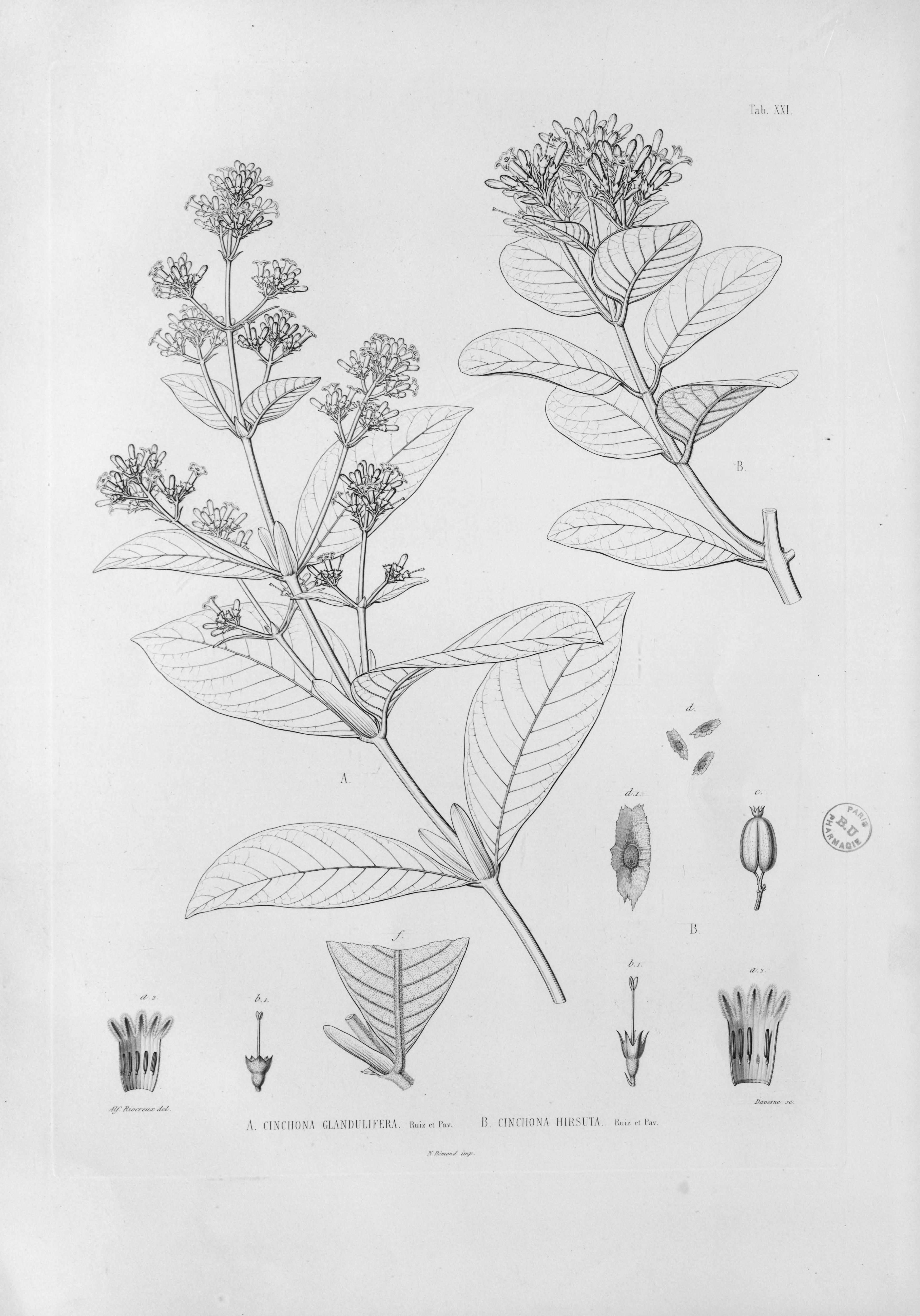 no full size  illustration available (3a)