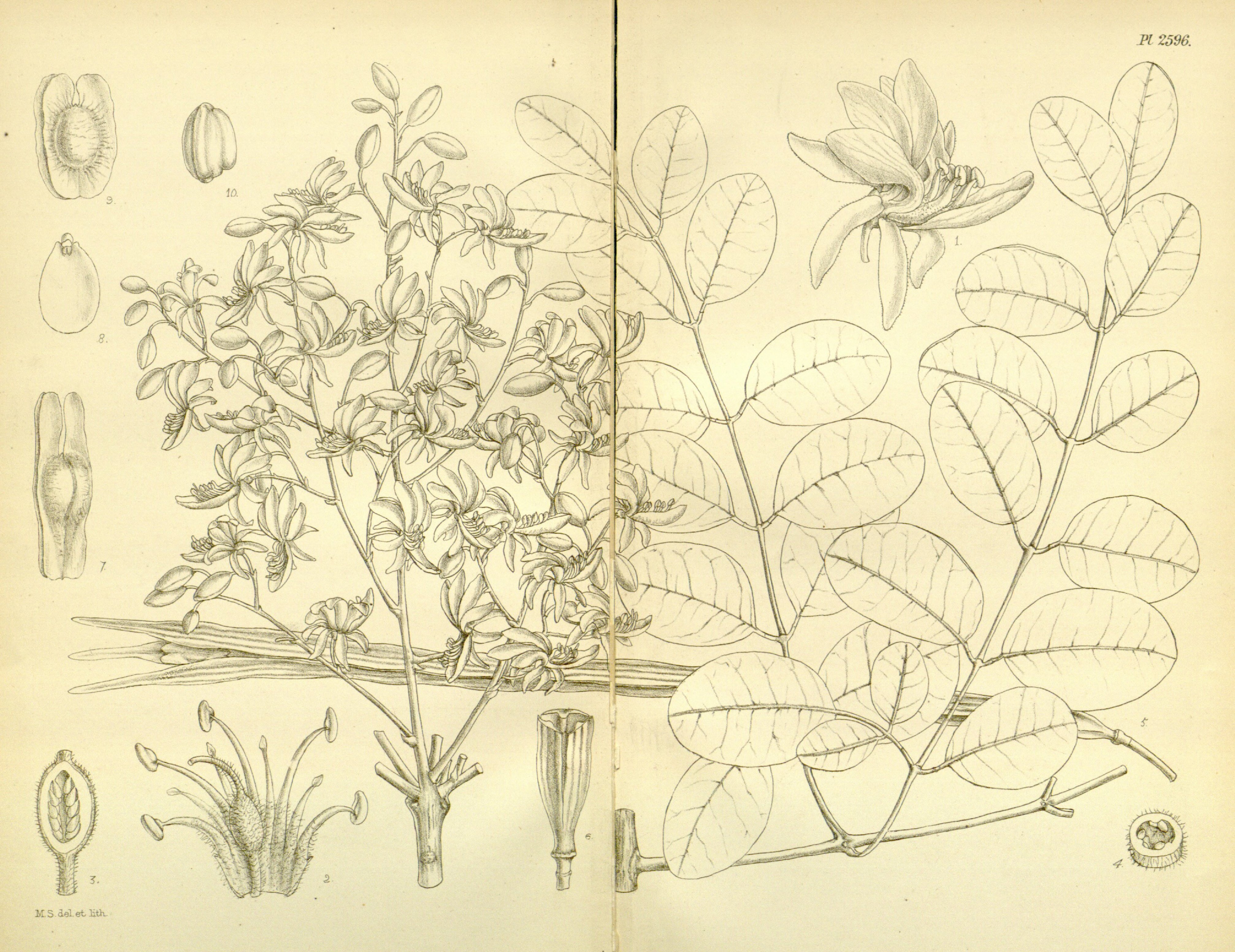 no full size  illustration available (3a)