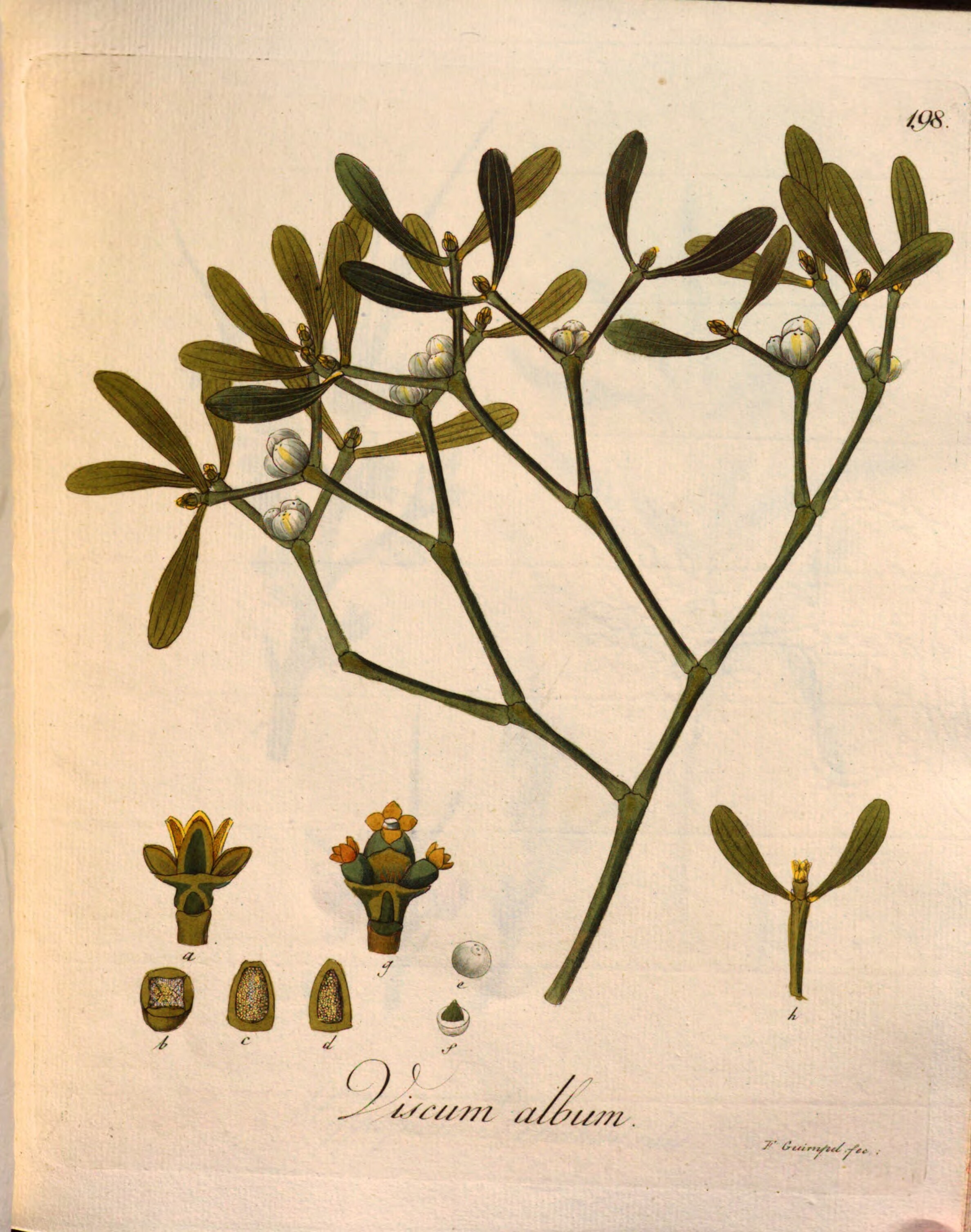 no full size  illustration available (3a)