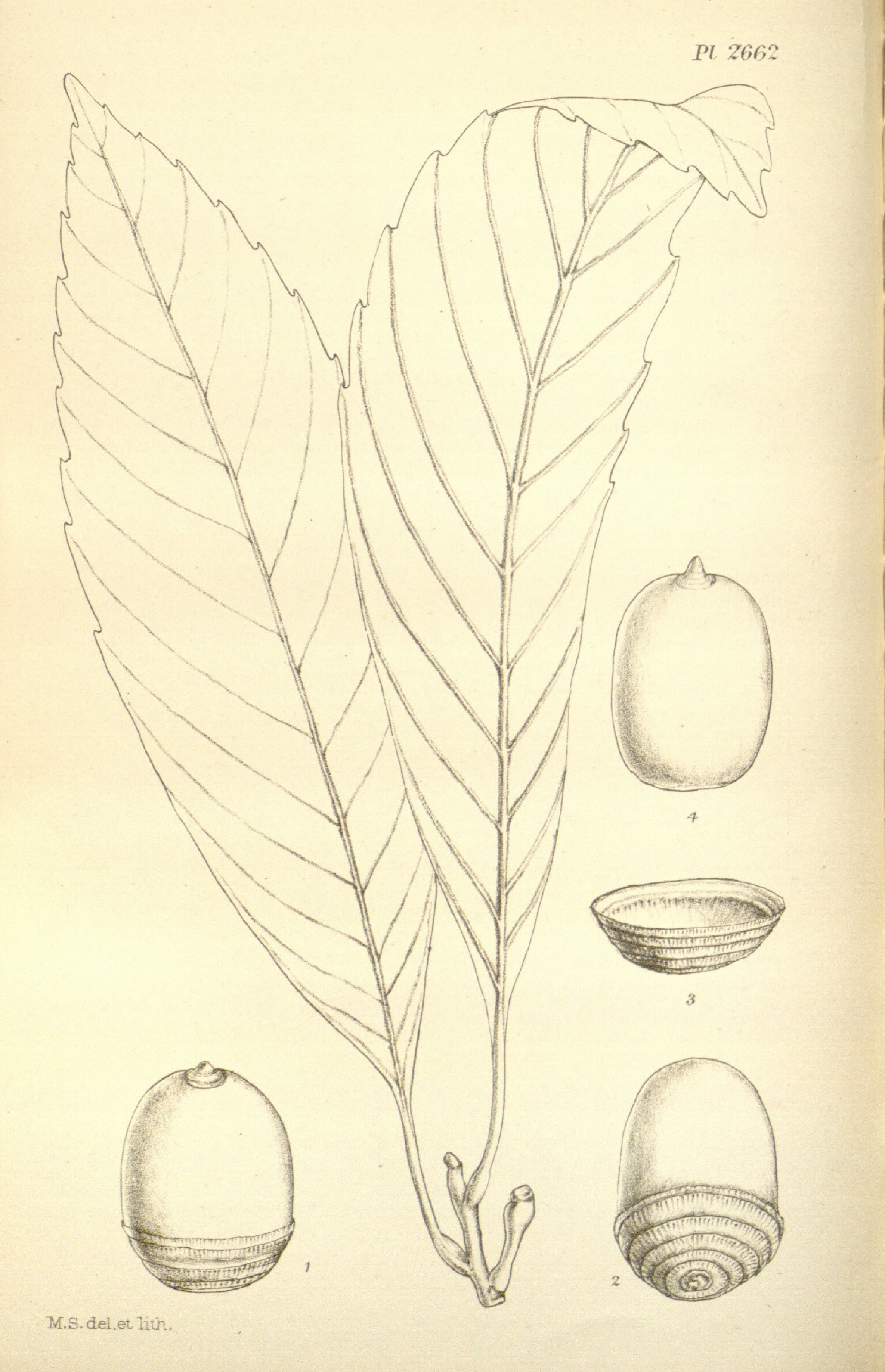 no full size  illustration available (3a)