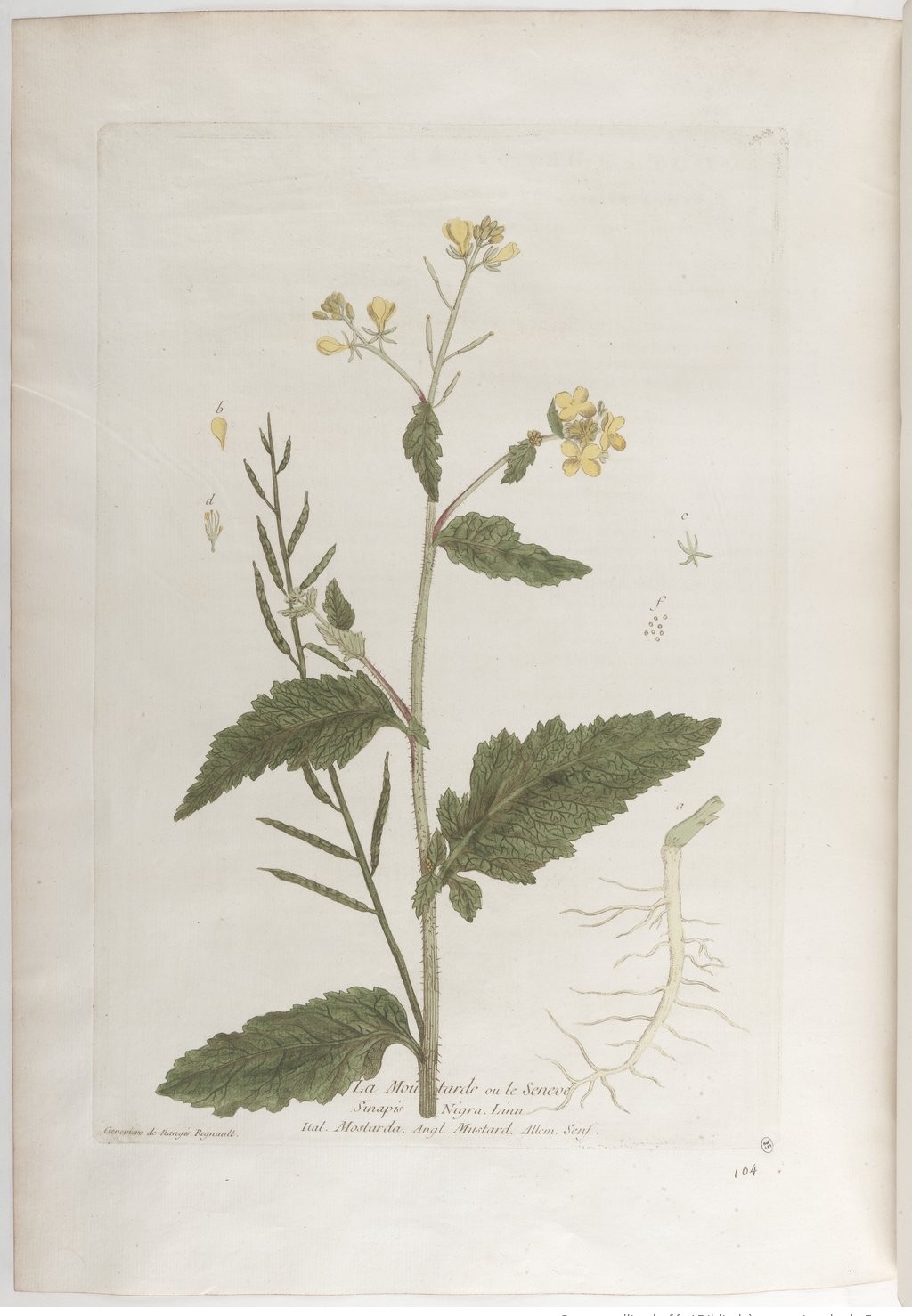 no full size  illustration available (3a)