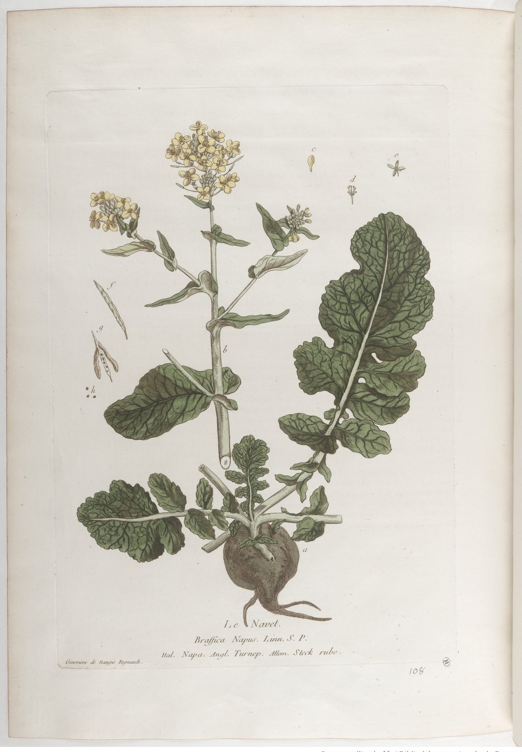 no full size  illustration available (3a)